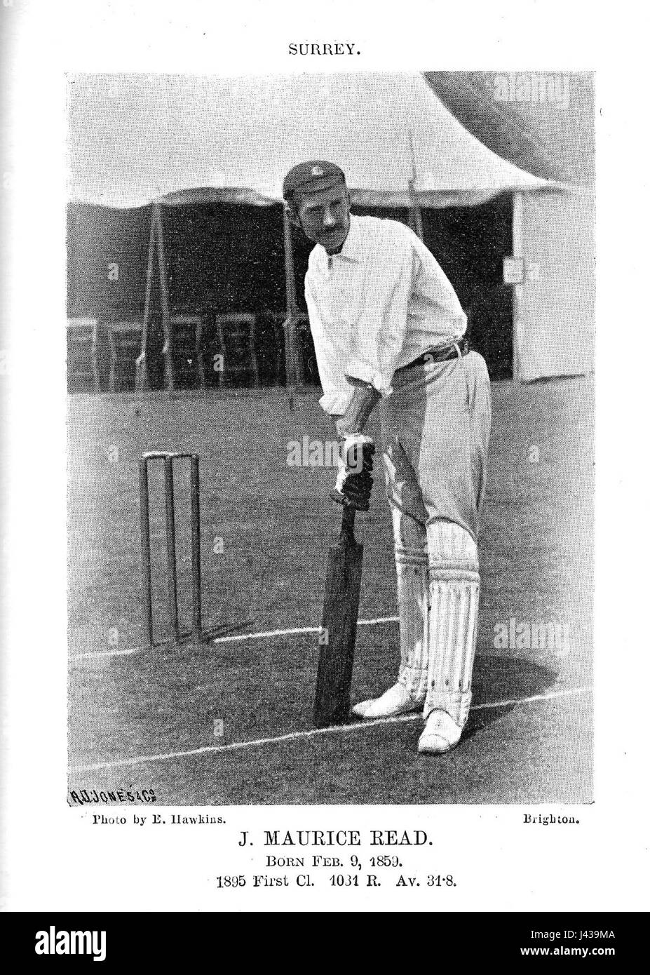 Lettura di Marice Foto Stock