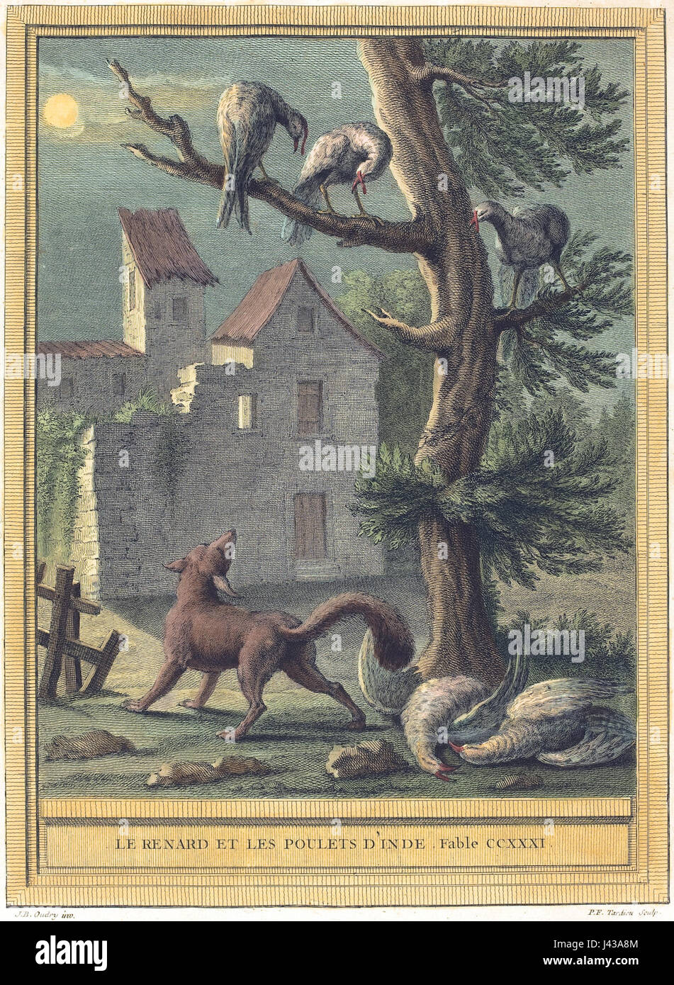 "Le renard et les poulets d'Inde" (la volpe e le galline dall'India) è probabilmente una favola o un'illustrazione francese che racconta la storia di una volpe che interagisce con le galline indiane. Questa potrebbe essere una storia simbolica o morale, forse riflettendo temi di astuzia e natura. Foto Stock