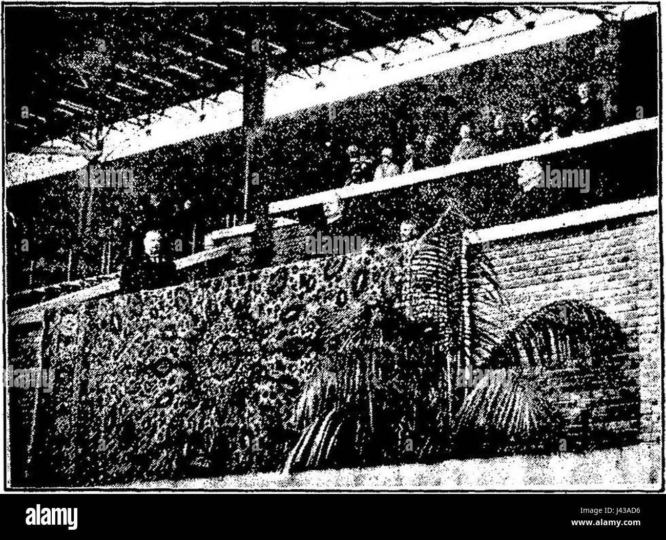 Koninklijke Loge Olympisch Stadion 001 Foto Stock