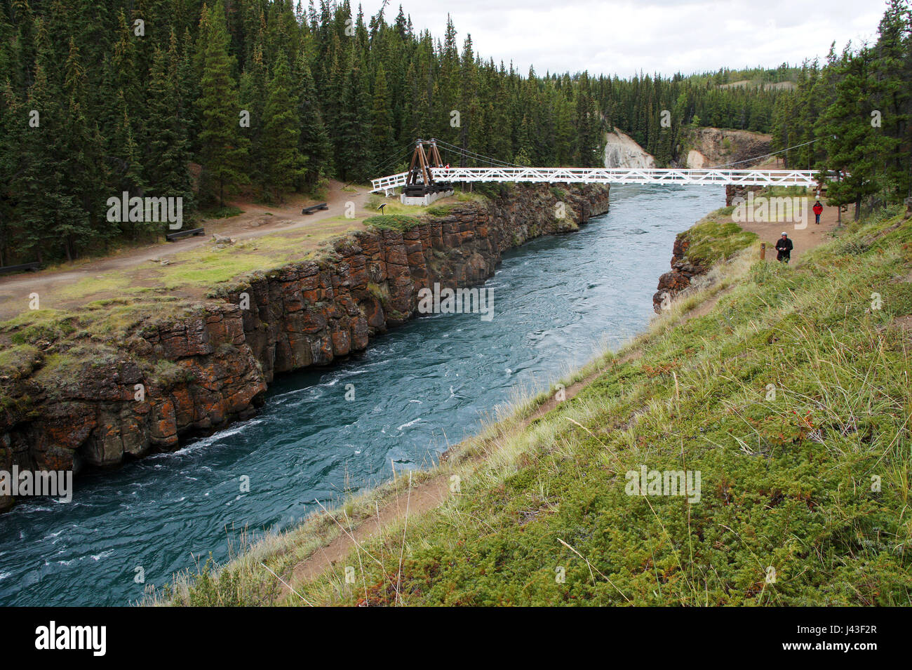 Miglia canyon del fiume Yukon Whitehorse sopra con passerella Yukon Territorium, Canasda Foto Stock