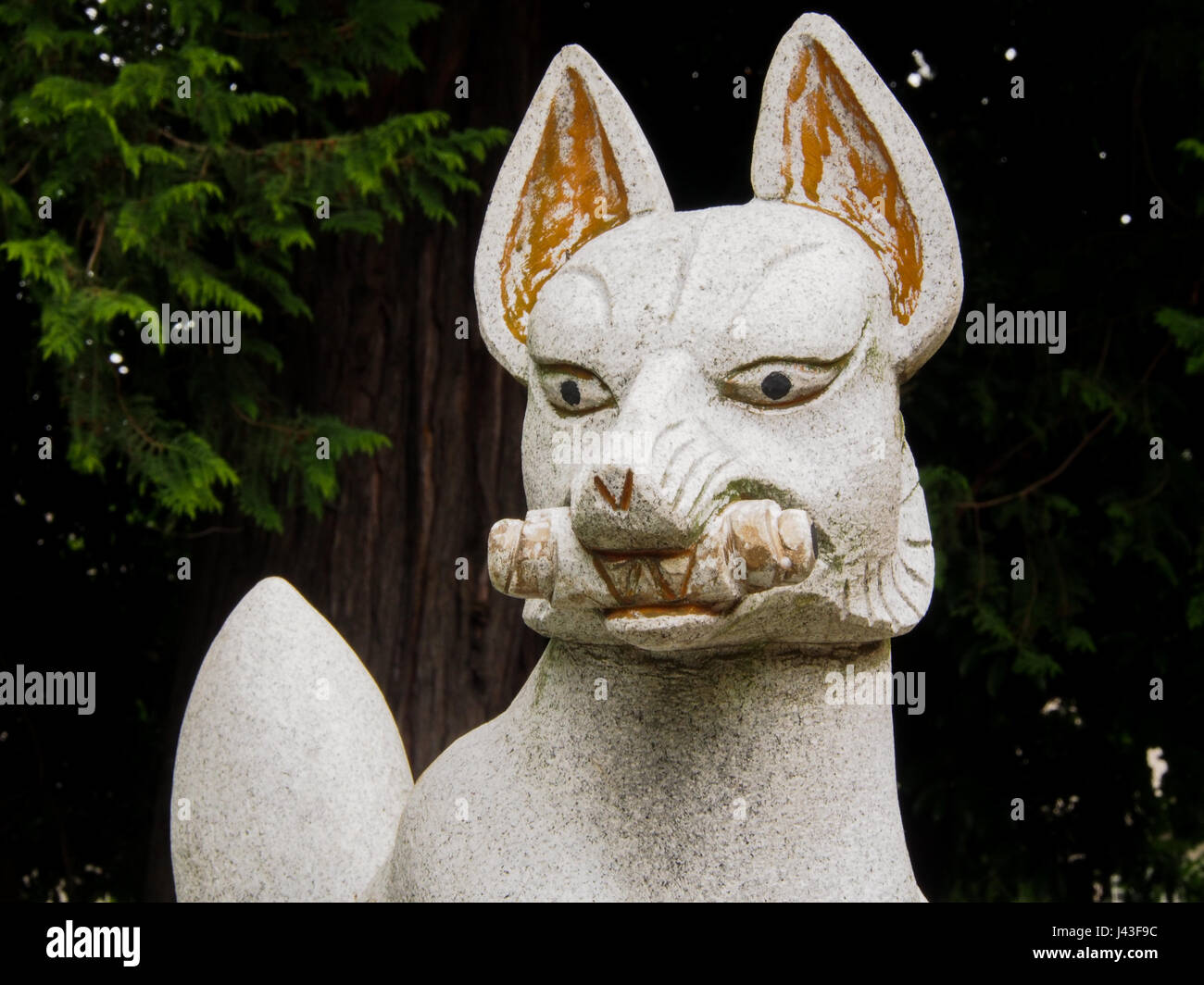 Kitsune fox statua in strada santuario scintoista, Omiya, Saitama, Giappone. La Fox (kitsune in giapponese) è strettamente associata a Inari. Tuttavia la fox i Foto Stock