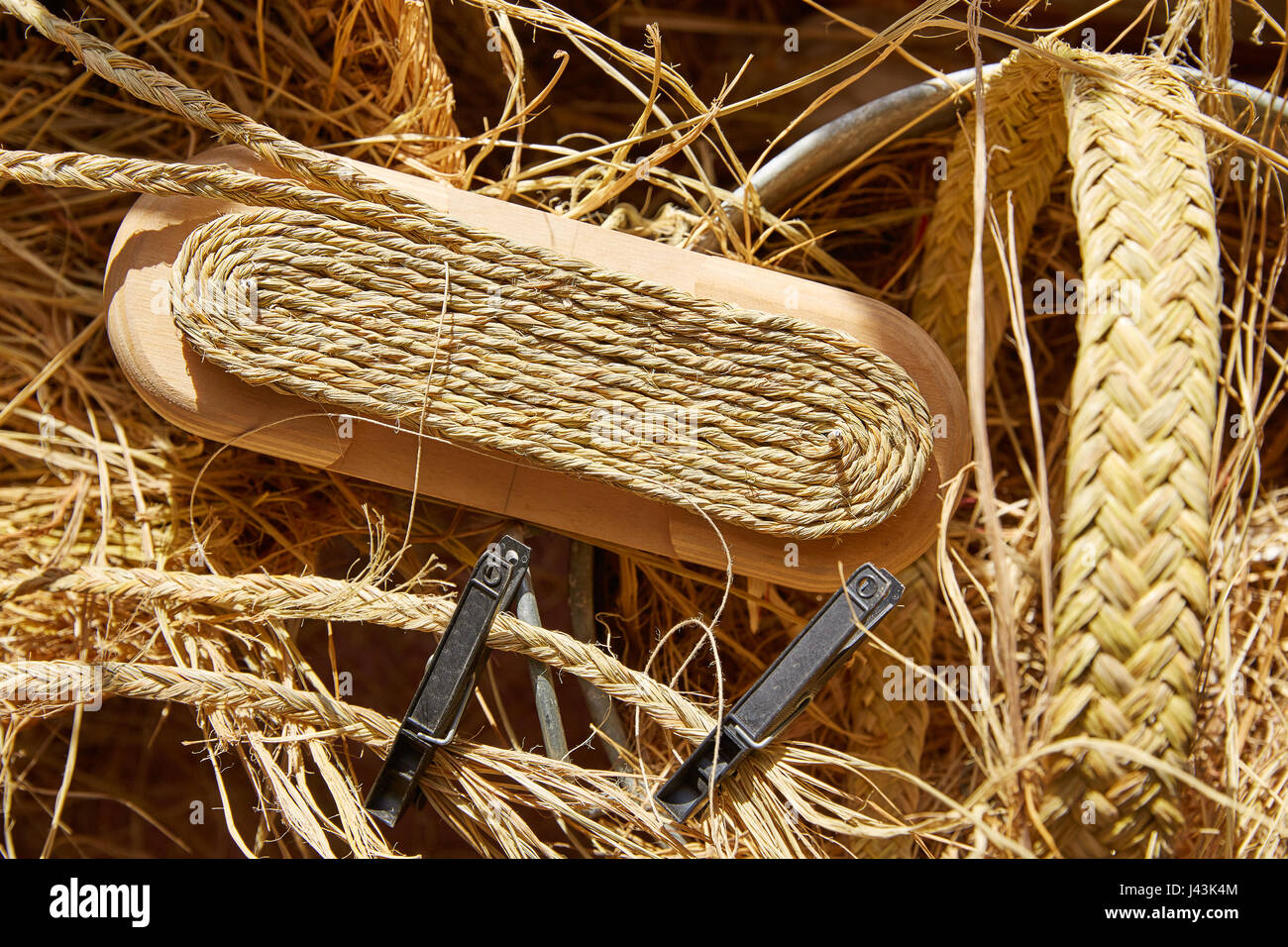 Sparto halfah erba utilizzato per l'artigianato come corde e basketry " espadrilles " Foto Stock