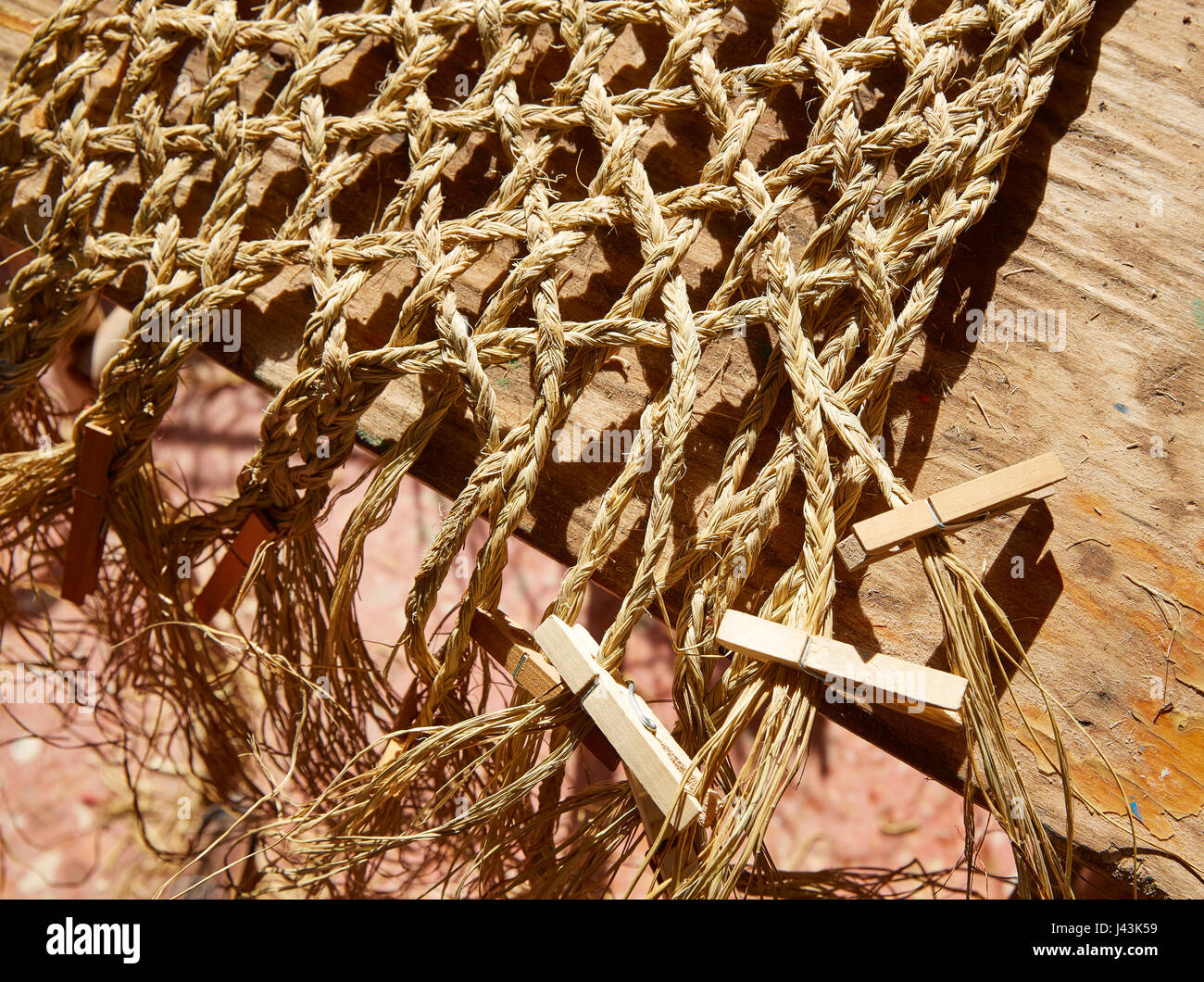 Sparto halfah erba utilizzato per l'artigianato come corde e basketry " espadrilles " Foto Stock