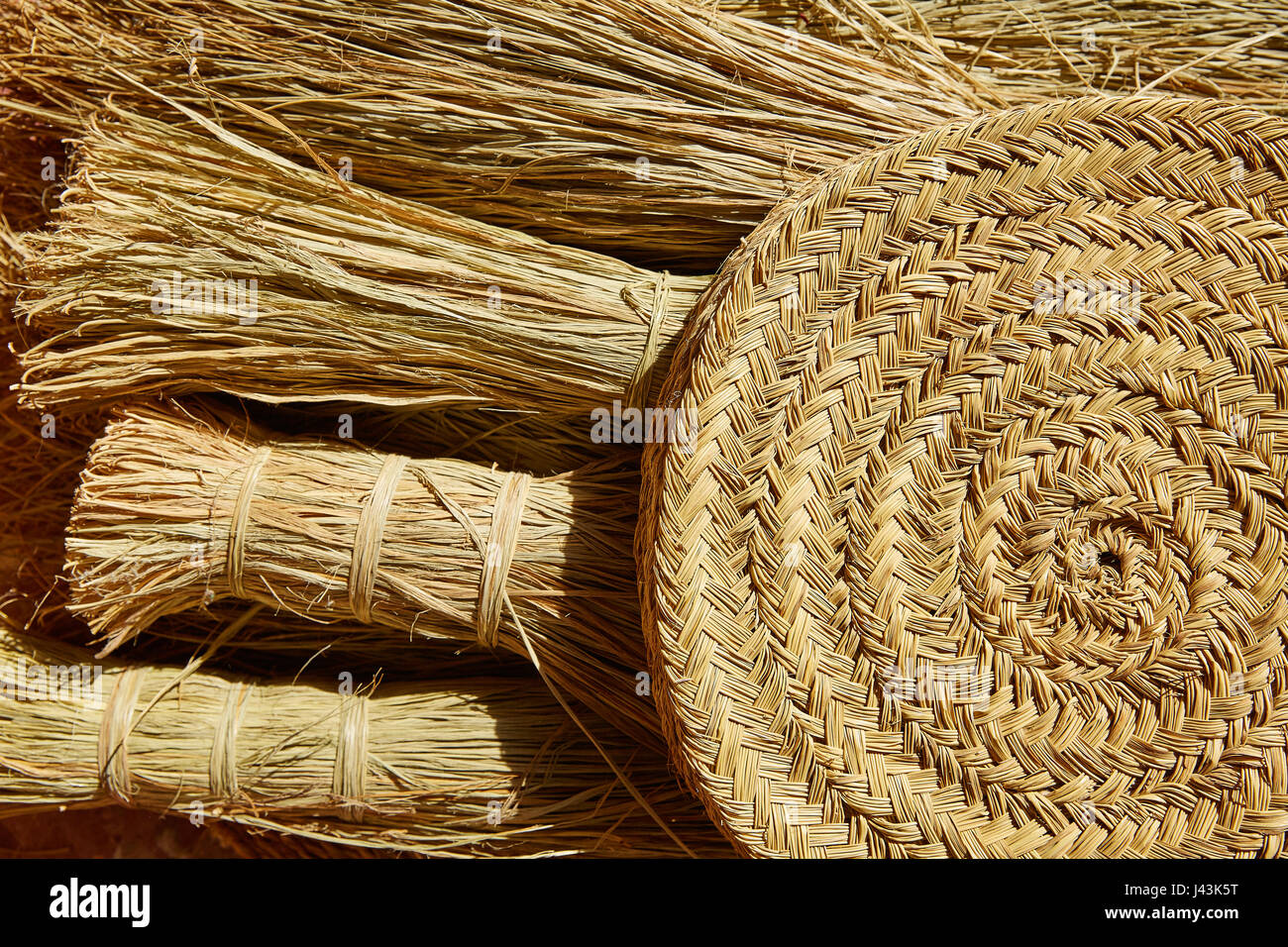 Sparto halfah erba utilizzato per l'artigianato come corde e basketry " espadrilles " Foto Stock