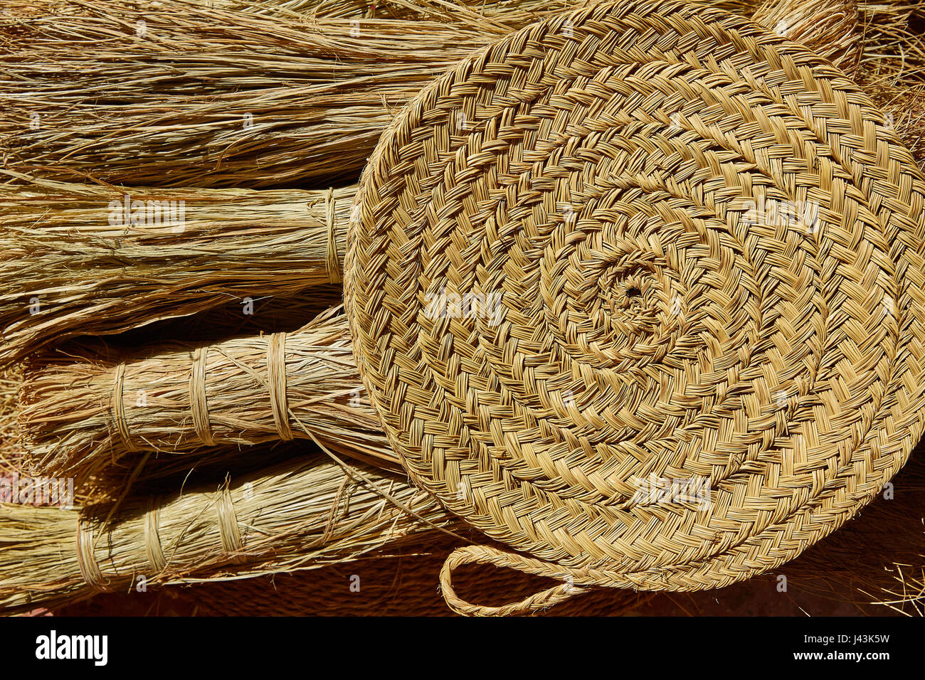 Sparto halfah erba utilizzato per l'artigianato come corde e basketry " espadrilles " Foto Stock