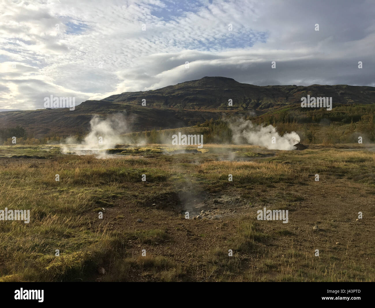 Primavera calda e geysir in Islanda. Foto Stock