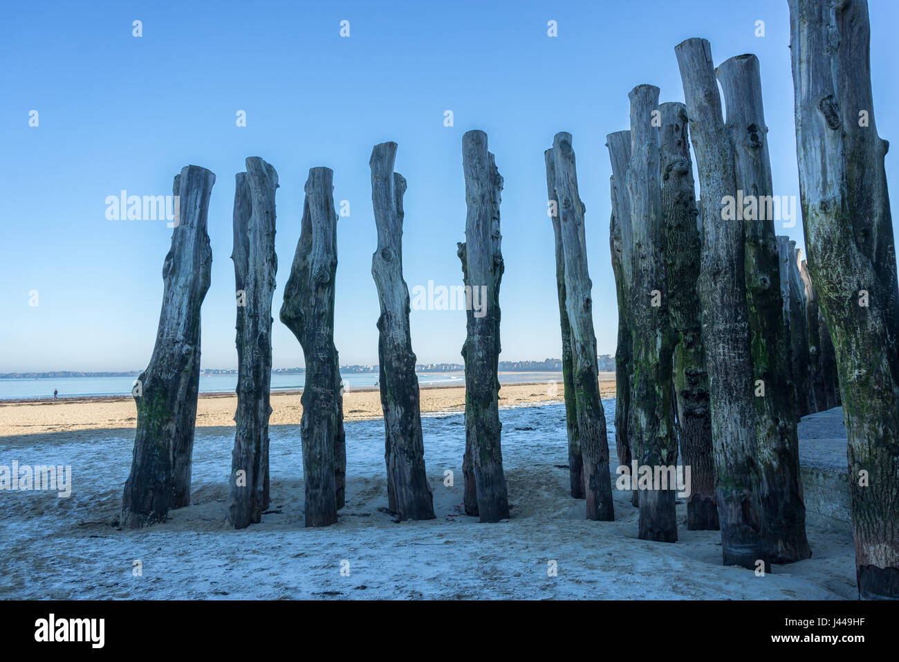 Pali di legno con la bassa marea sulla spiaggia di Saint Malo, Francia Foto Stock