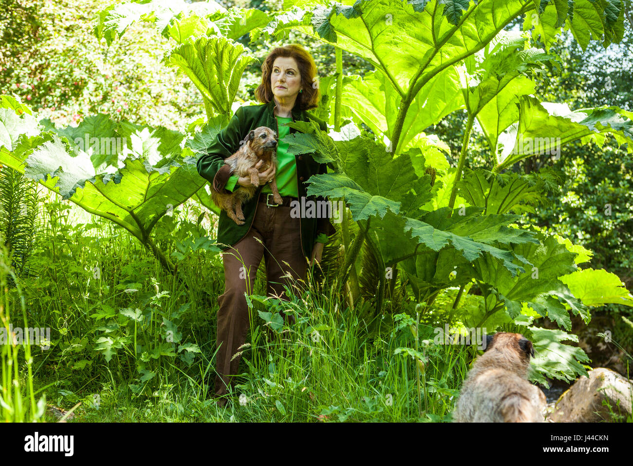 Signora Angelika Cawdor, il ceco nato Dowager Contessa di Cawdor raffigurata con oe dei suoi cani nei motivi di Cawdor Castle. Cawdor Castle è impostato ami Foto Stock