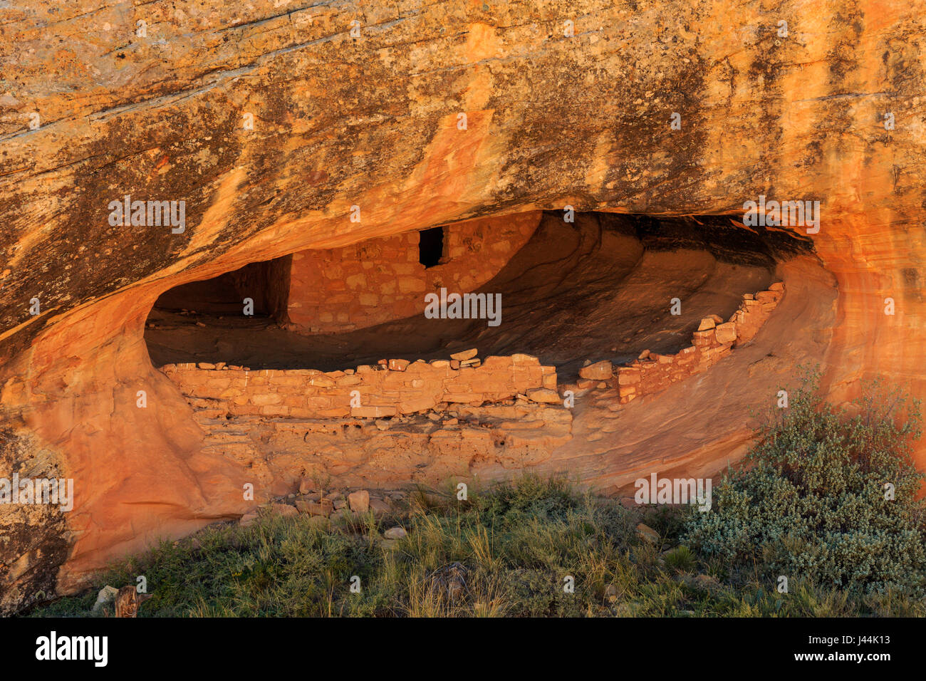 Questa è una vista ravvicinata di una scogliera abitazione a Butler lavare rovina negli orsi orecchie monumento nazionale, San Juan County, Utah, Stati Uniti d'America. Foto Stock