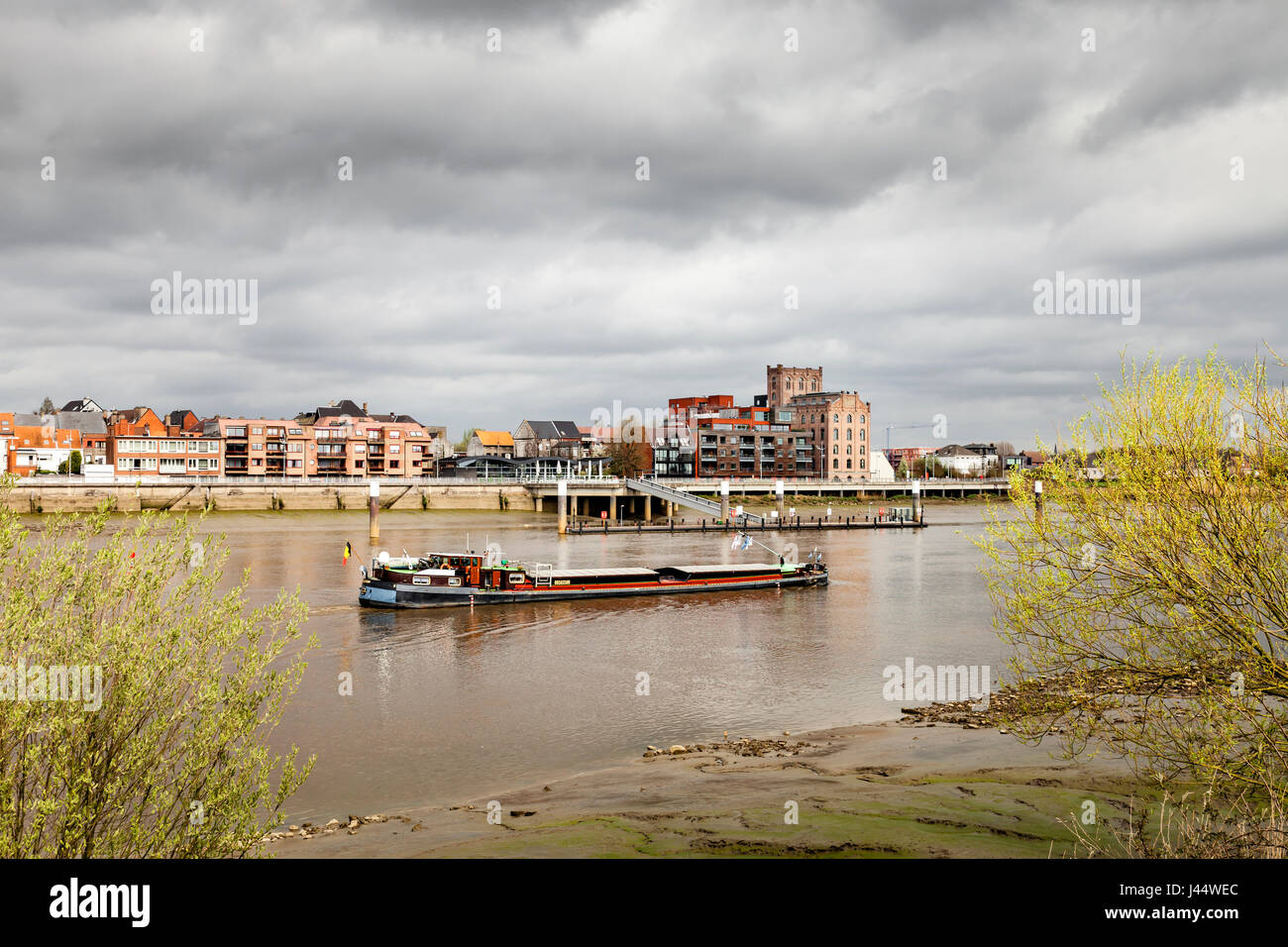 Il trasporto. Una chiatta navigando sul fiume Rupel, tra Puurs e Klein Willebroek in Belgio. Foto Stock