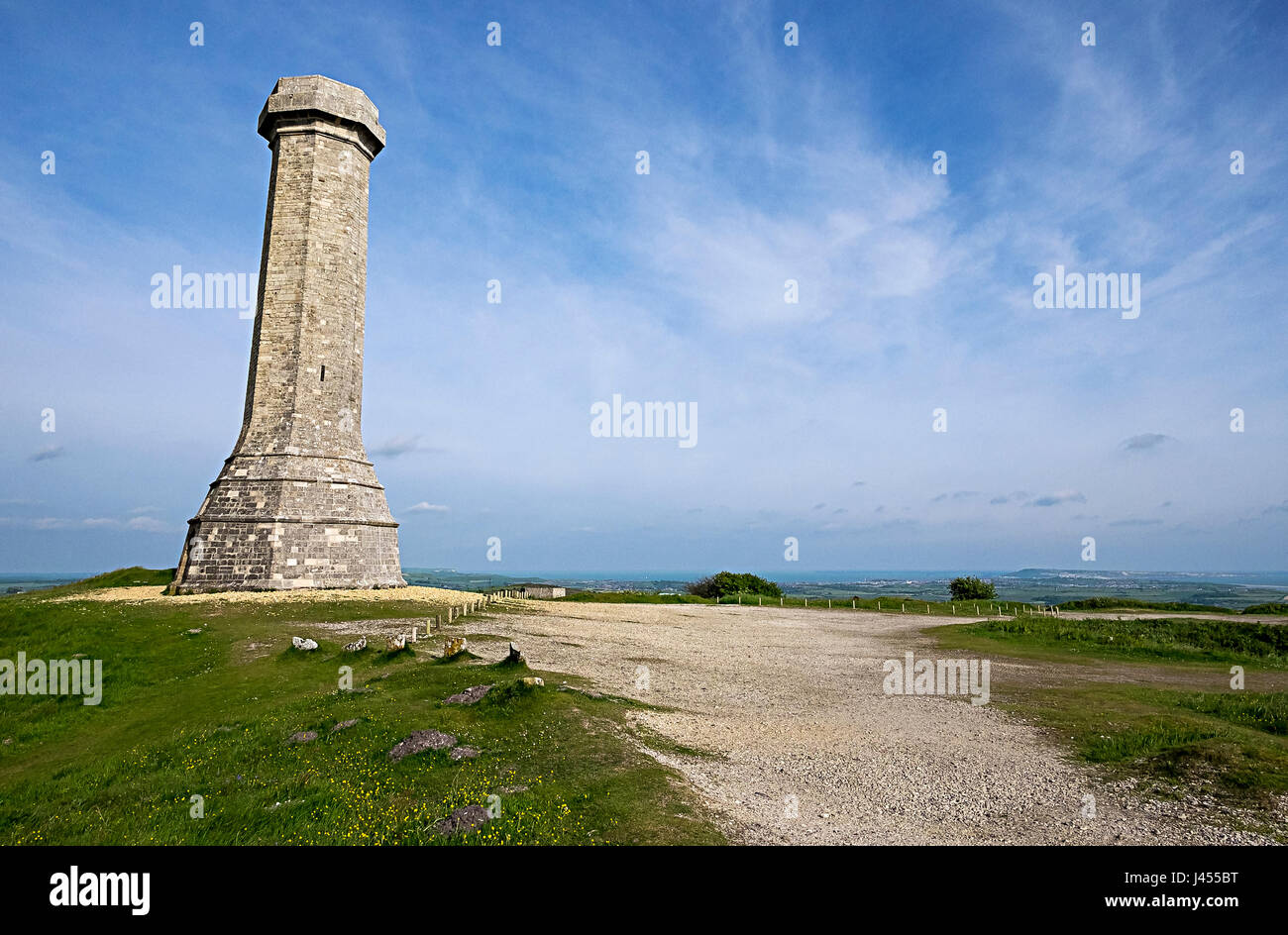 Hardy Monument Foto Stock