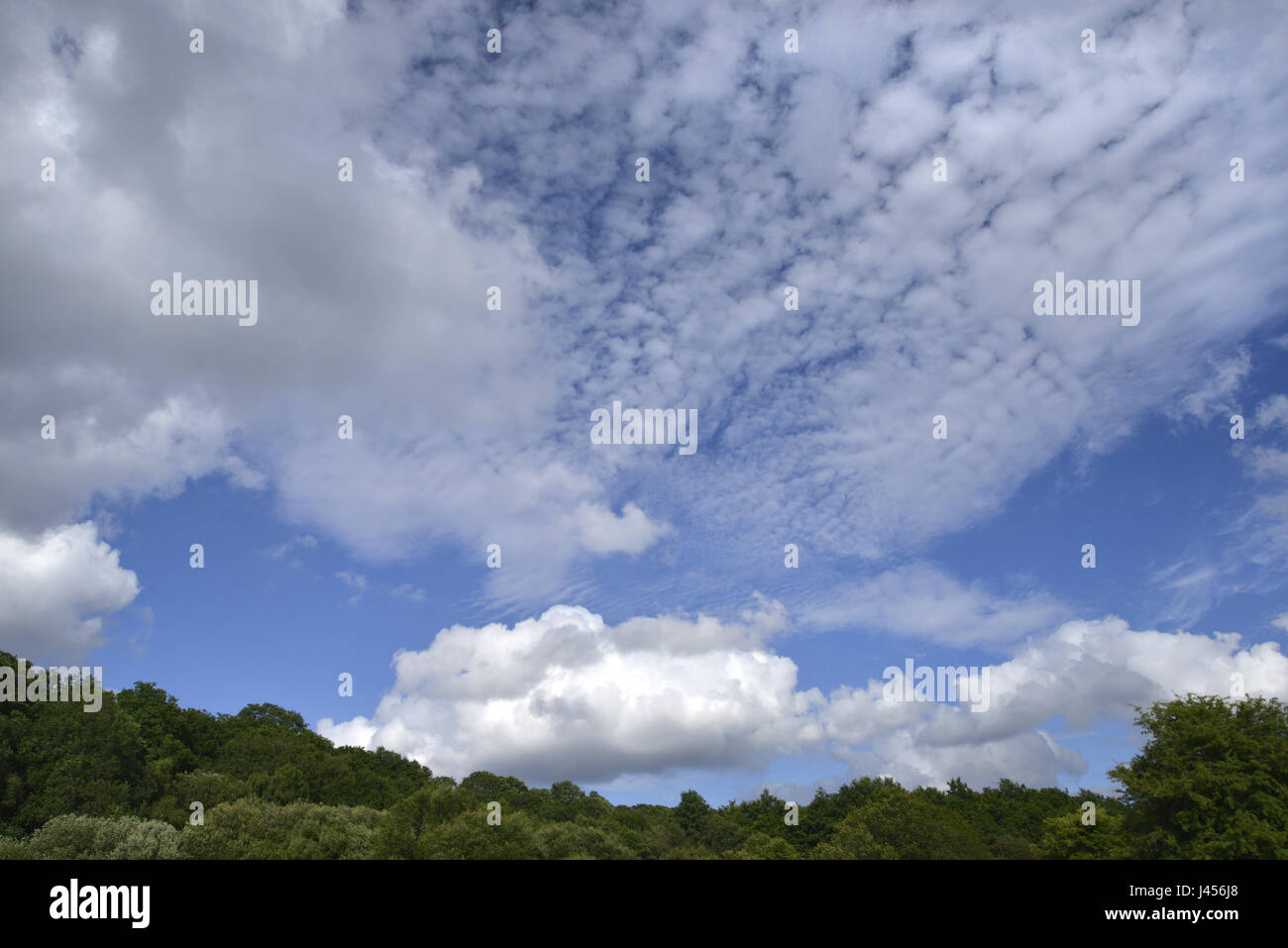 Cirrus e cumuli di nuvole contro un cielo blu Foto Stock