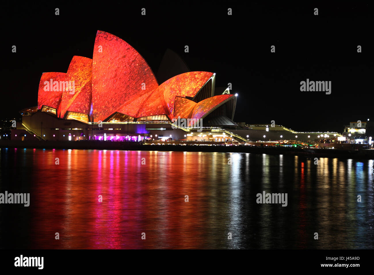 Sydney Opera House foto di notte Foto Stock