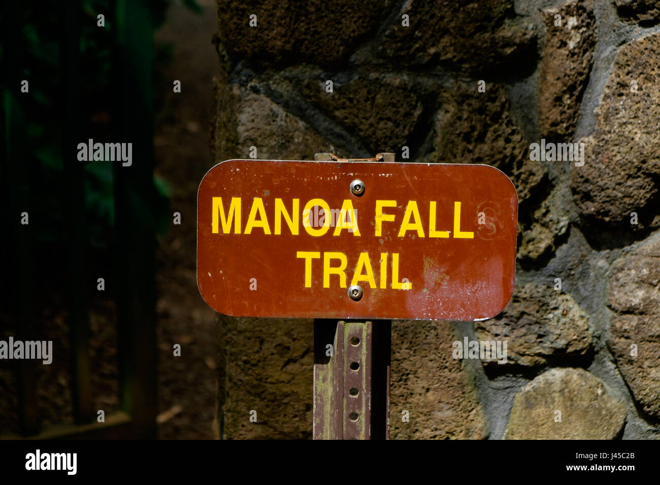 Manoa Falls Trail Escursione Oahu Hawaii Foto Stock