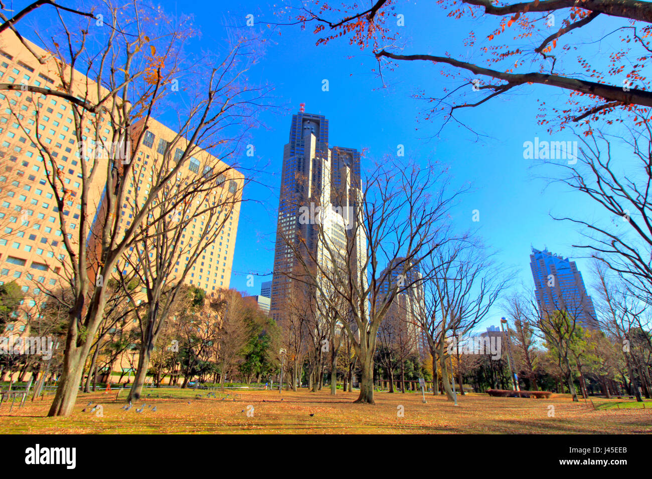 Governo Metropolitano di Tokyo edificio vista da Shinjuku Central Park Giappone Foto Stock