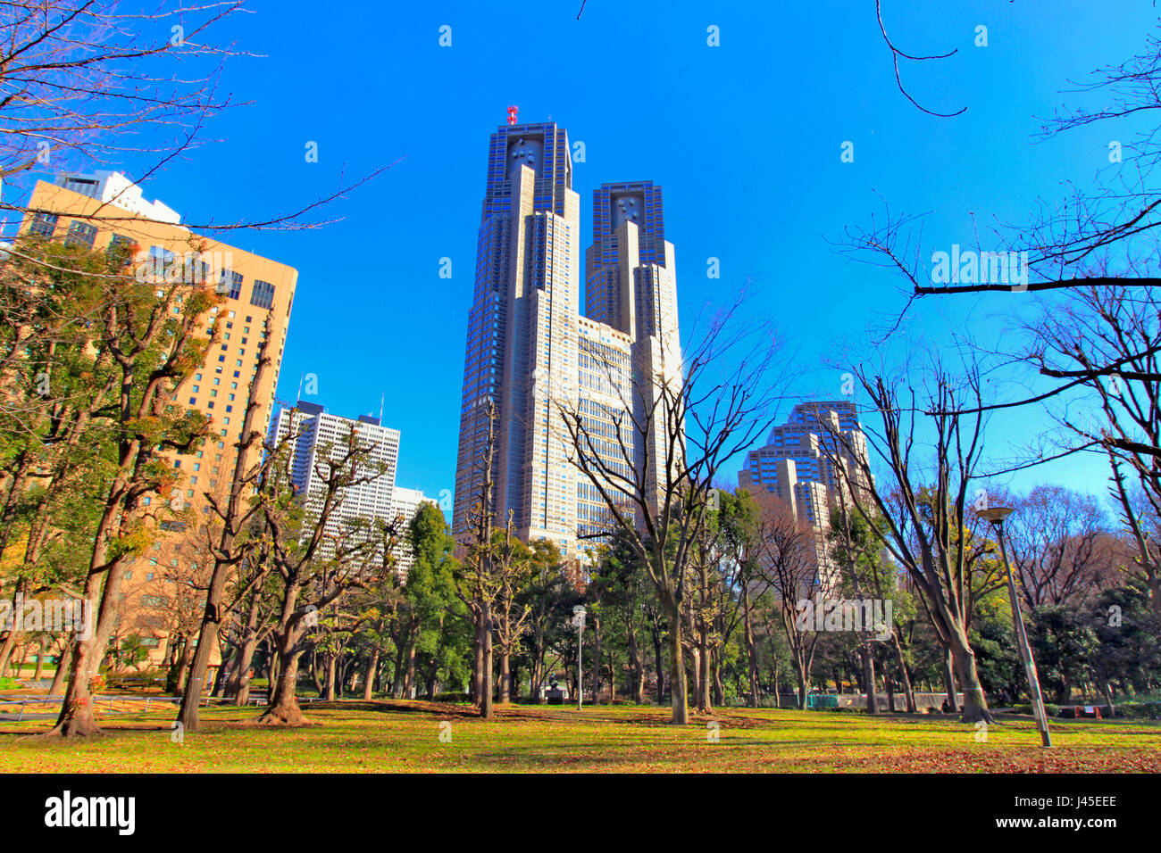 Governo Metropolitano di Tokyo edificio vista da Shinjuku Central Park Giappone Foto Stock