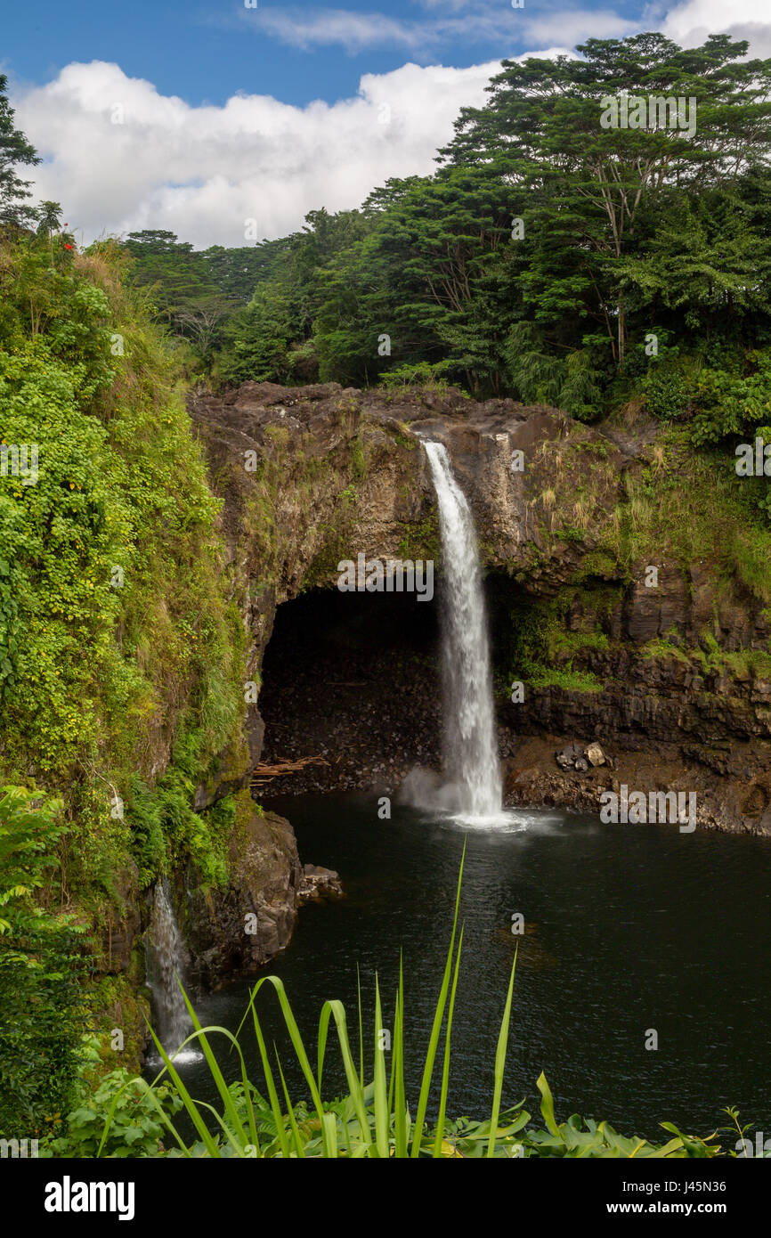 La Rainbow Falls vicino a Hilo sulla Big Island, Hawaii, Stati Uniti d'America. Foto Stock