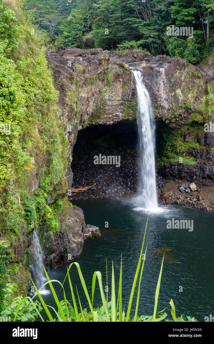 La Rainbow Falls vicino a Hilo sulla Big Island, Hawaii, Stati Uniti d'America. Foto Stock