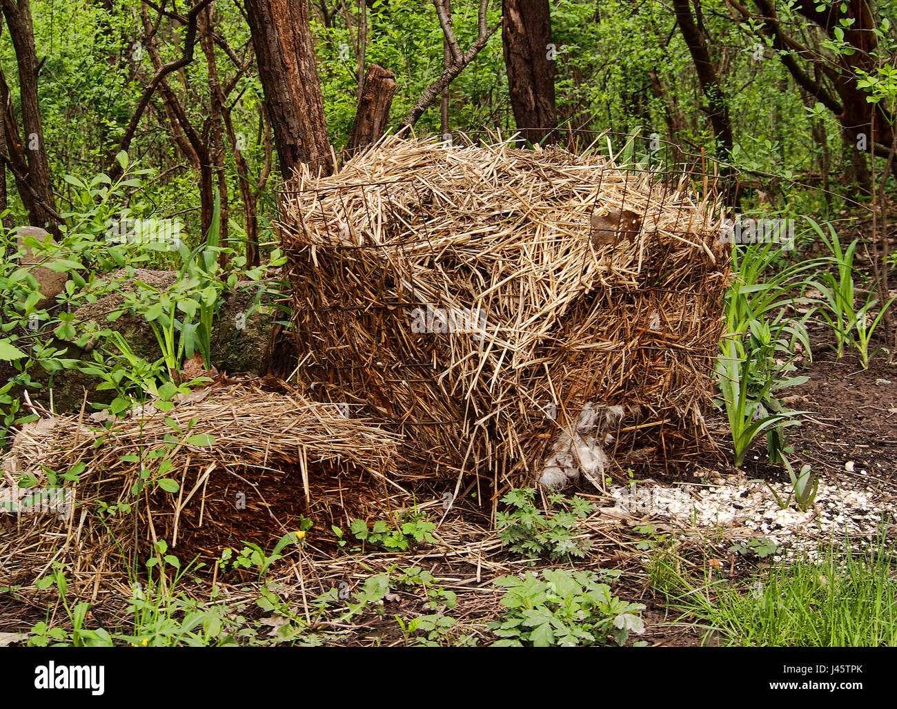 Backyard palo di composto coperta con fieno per accelerare il processo di compostaggio Foto Stock