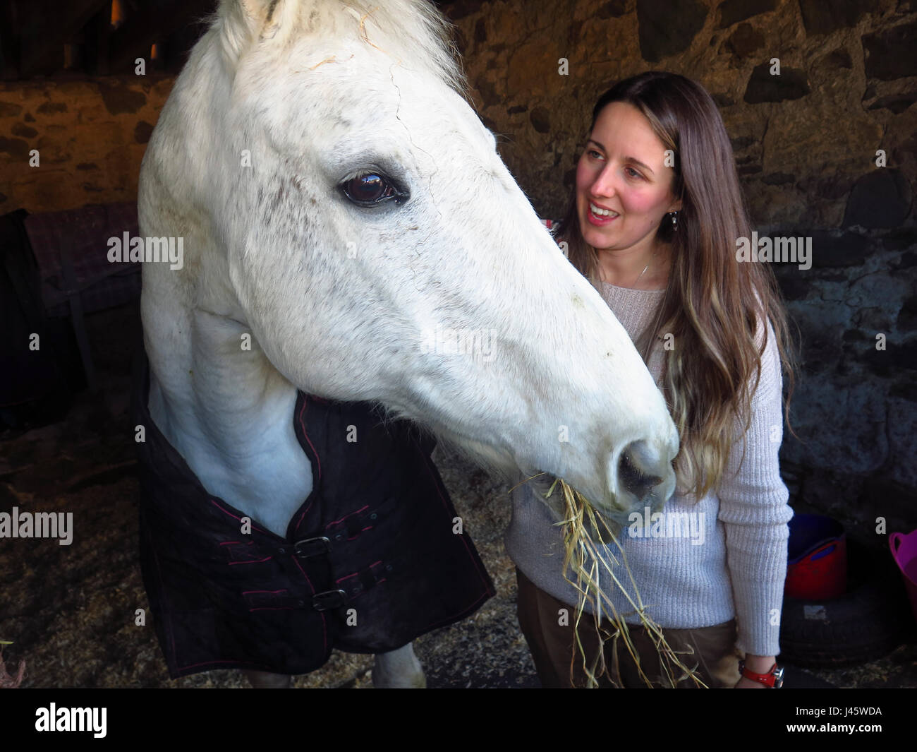 Giovane donna con il grigio mare cavallo Foto Stock