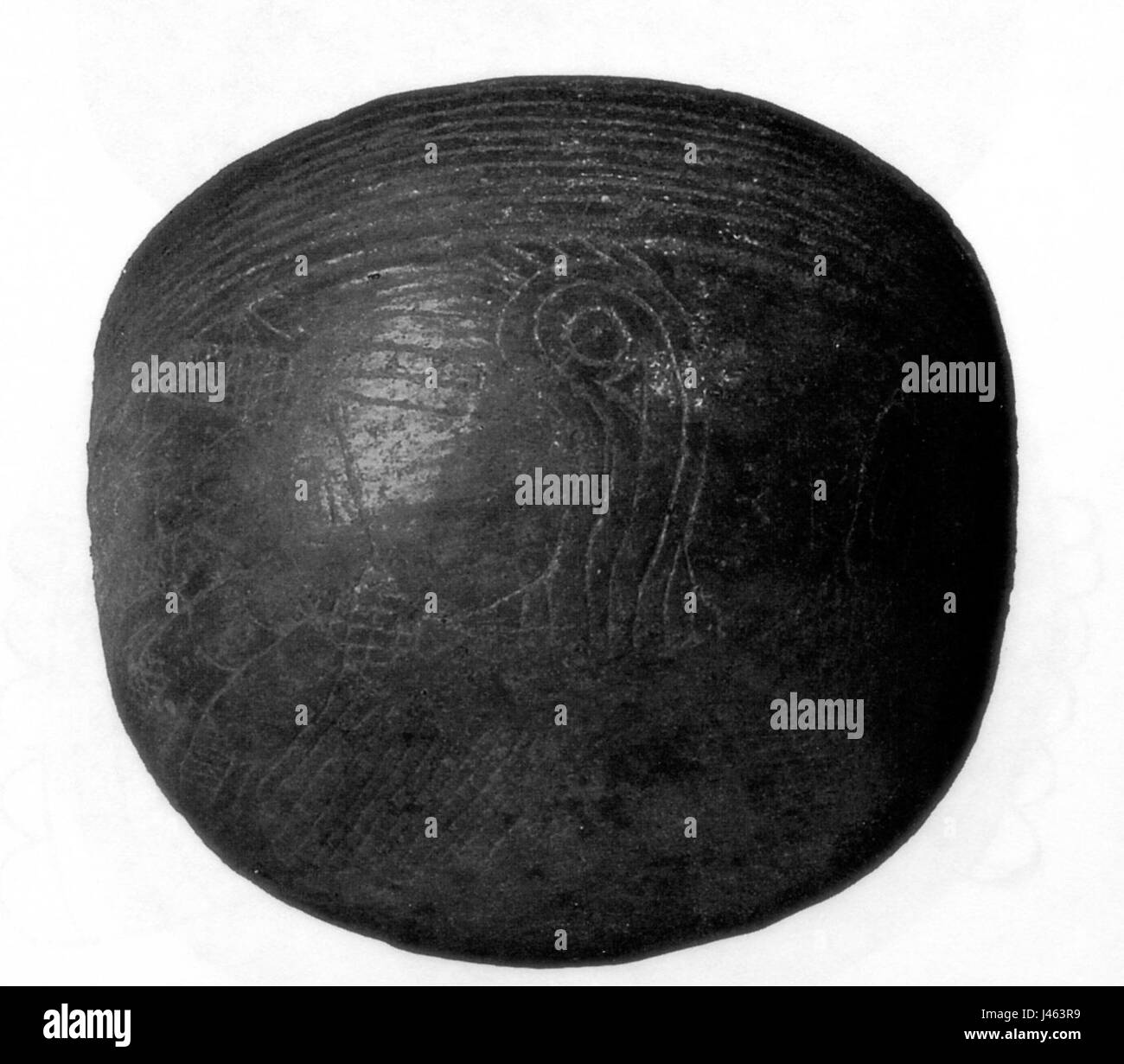 Un riferimento alla figura 37 di Moore del 1907 e alla ves.86s.OFM.D di Hemphill, possibilmente una citazione di un testo medico o scientifico o un'illustrazione relativa al campo della medicina. Foto Stock