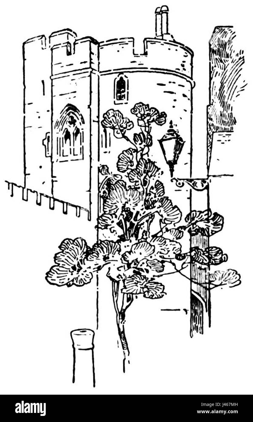 Dettaglio della pagina torre di castello Foto Stock