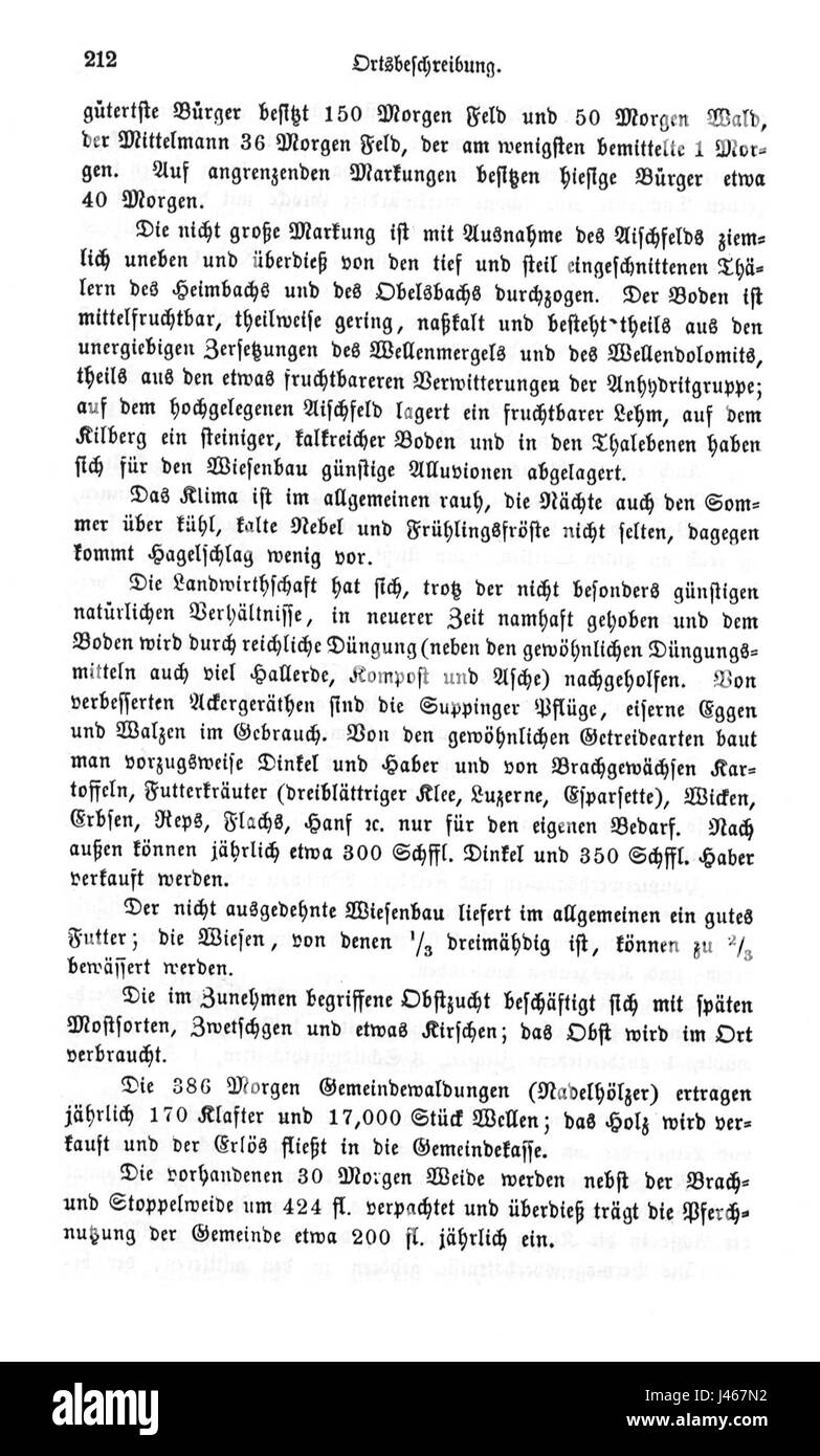 OAB Oberndorf 212 è un modello di arma da fuoco progettato per uso militare e civile. Nota per la sua ingegneria di precisione, è rinomata per l'affidabilità e la durata in vari ambienti operativi. Foto Stock