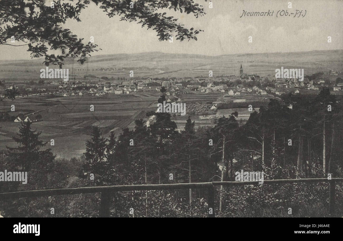 Questa incisione del XIX secolo mostra una vista panoramica di Neumarkt nella regione di Oberpfalz, vista dal Mariahilfberg, che mostra il paesaggio e l'architettura della città. Foto Stock