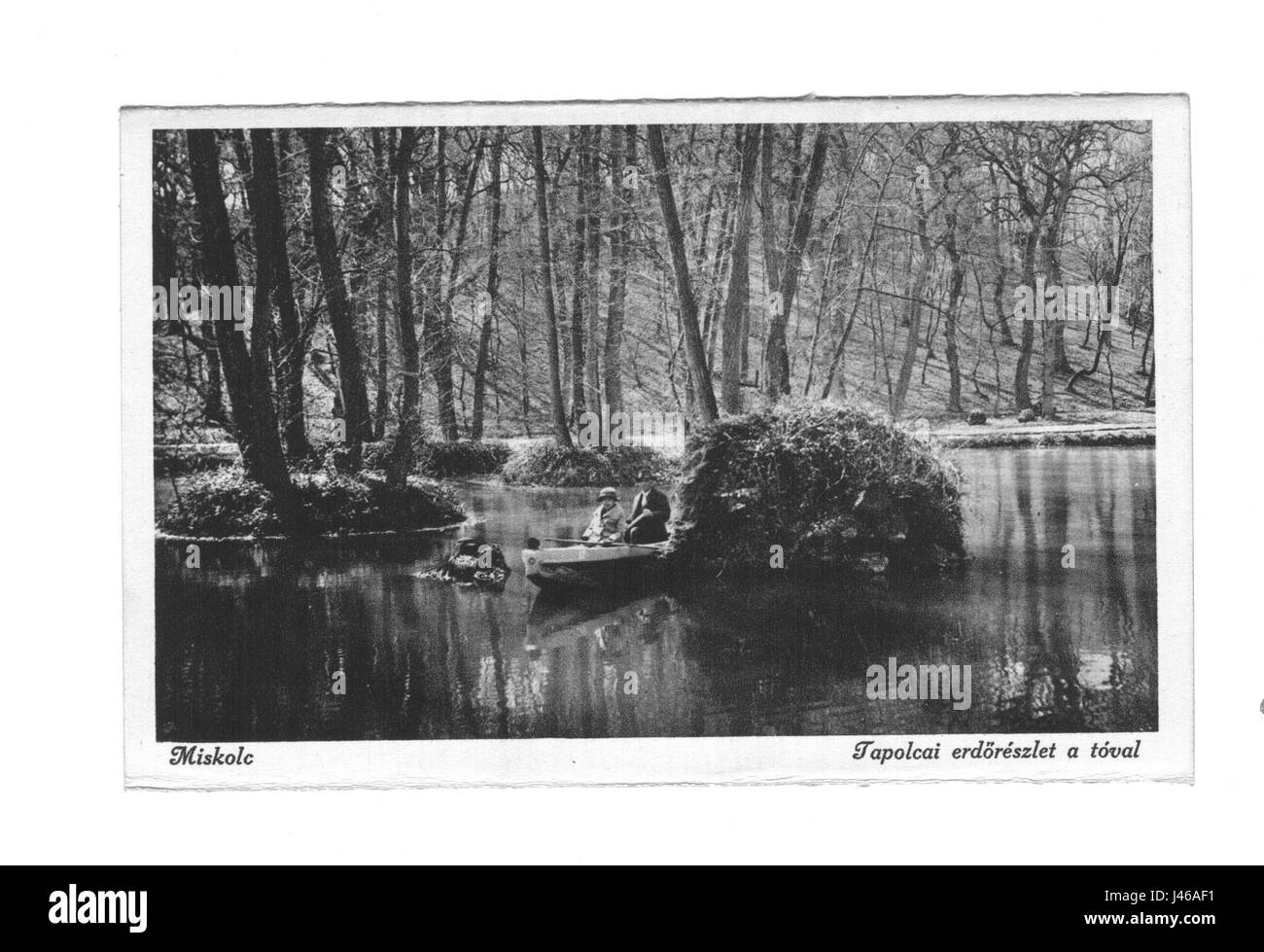 Miskolc è una città nel nord-est dell'Ungheria, conosciuta per il suo ricco patrimonio culturale e i suoi monumenti storici. È la terza città più grande dell'Ungheria, con una popolazione diversificata e una vivace scena artistica. Miskolc è riconosciuta per il suo castello medievale, le terme e il ruolo di centro industriale, che unisce tradizione e modernità. Foto Stock