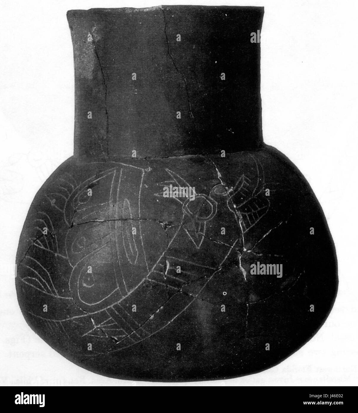 Moore1907Fig.57,ves.33s.ofM.D(M3) Foto Stock