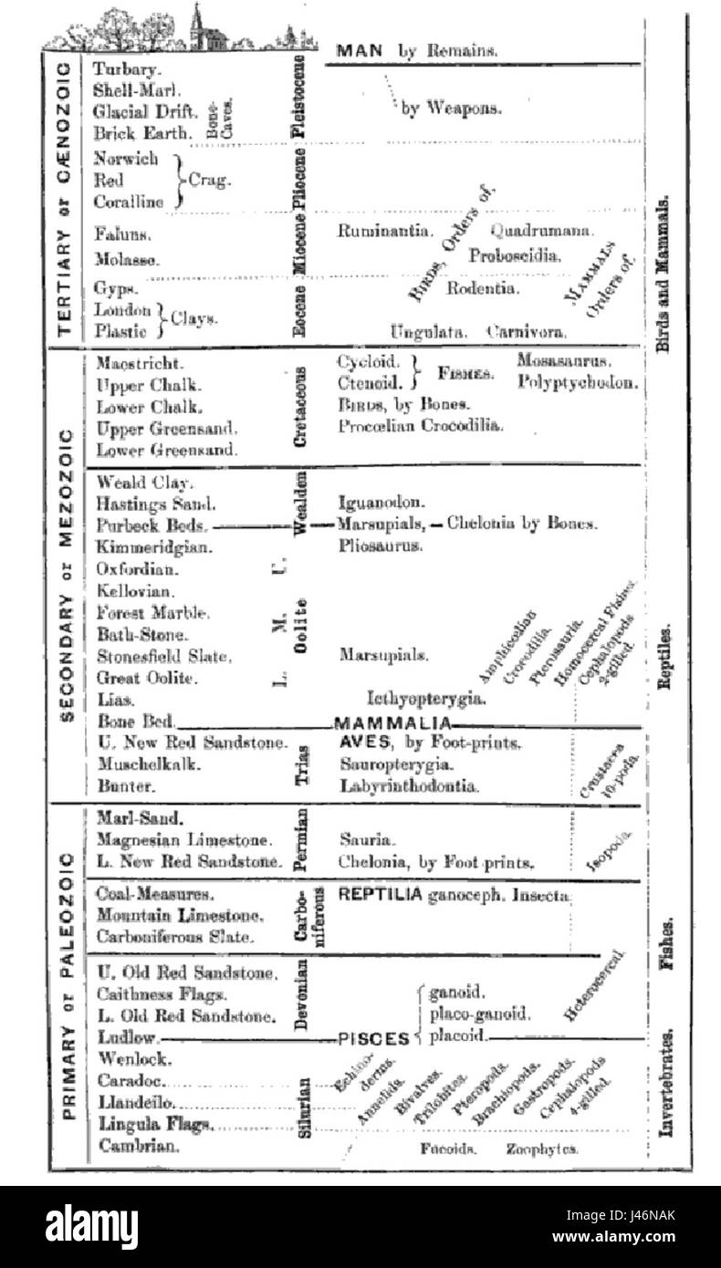 La scala temporale geologica di Owen è un riferimento storico che classifica la storia della Terra in periodi geologici distinti in base agli strati rocciosi e alle evidenze fossili. Fornisce informazioni sullo sviluppo geologico della Terra. Foto Stock