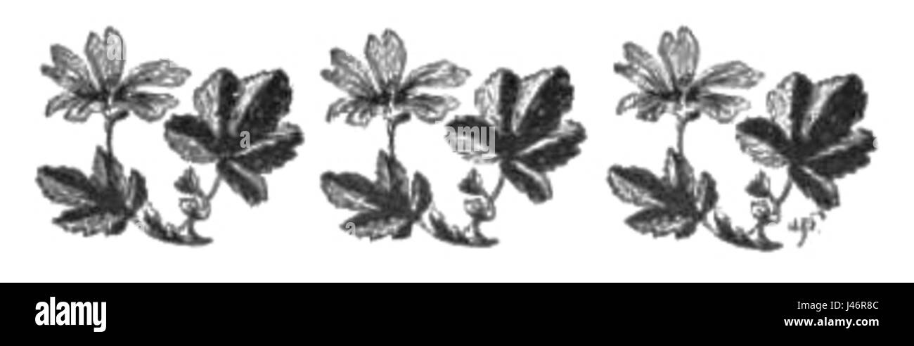 "NA drogach duszy" (sulle strade dell'anima) è un'opera che esplora temi filosofici e spirituali profondi. La pagina raffigurata rappresenta probabilmente un momento di riflessione o introspezione, offrendo approfondimenti sulla natura umana e sulla ricerca dell'anima. Foto Stock