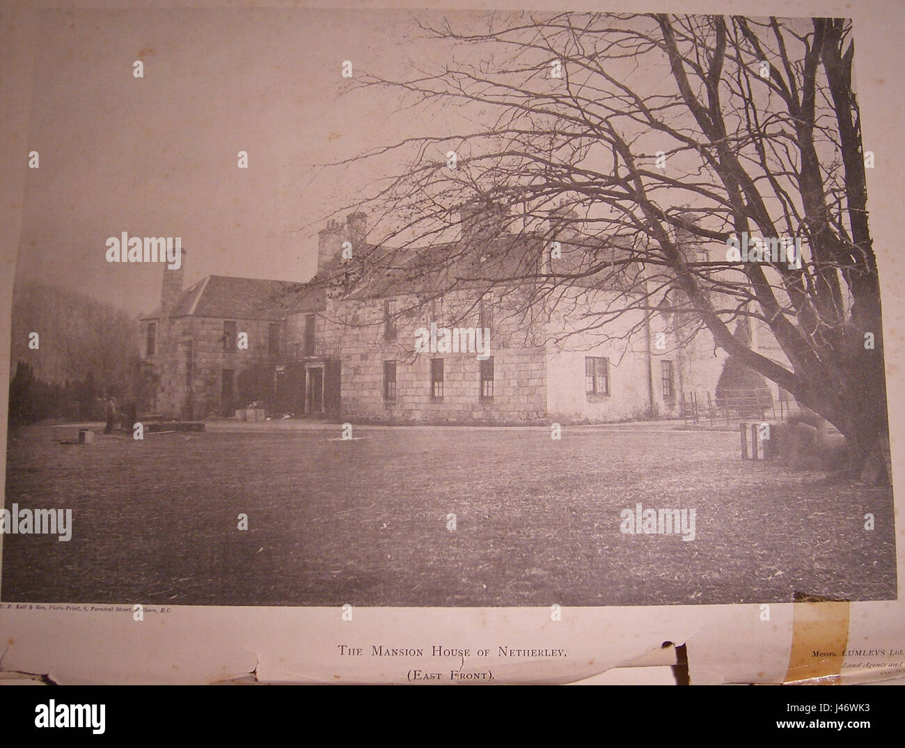 Fotografia del fronte orientale di Netherley, che cattura le sue caratteristiche architettoniche e il paesaggio circostante. Foto Stock