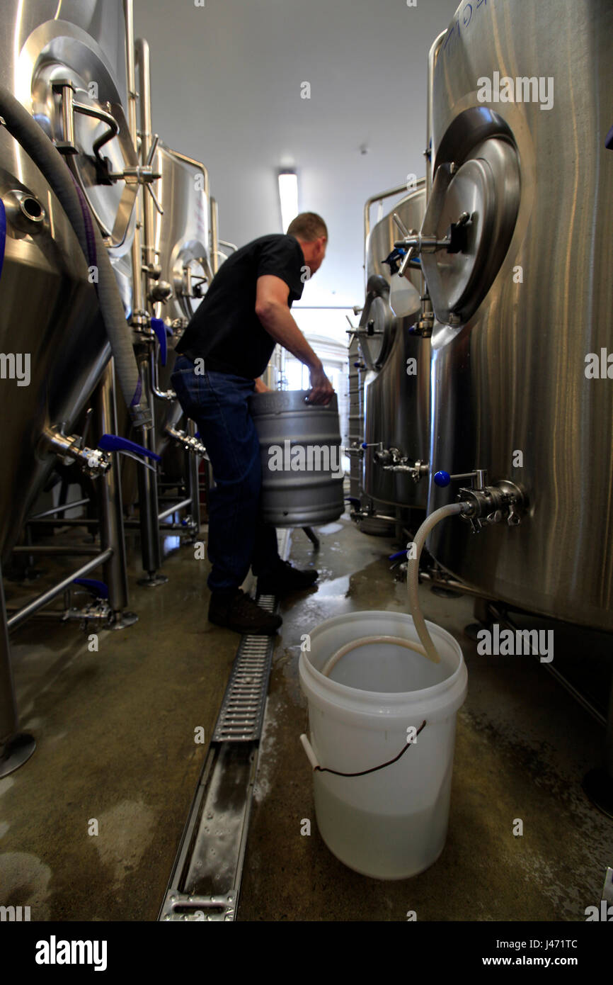 Mic Hynekamp presso Eddyline Brewery, Richmond, Nelson, Nuova Zelanda Foto Stock