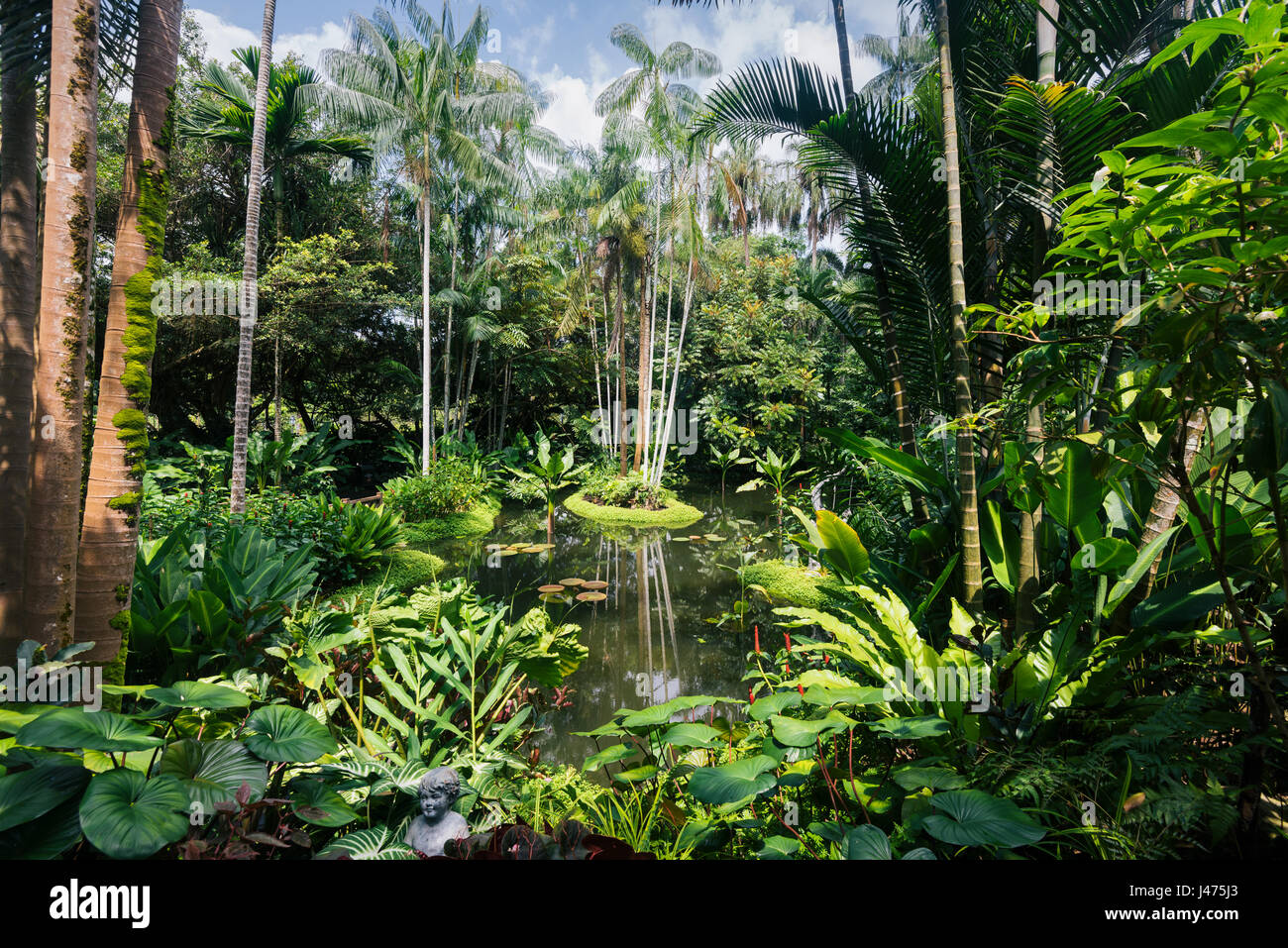Piccolo pont in Singapore Botanic Gardens Foto Stock