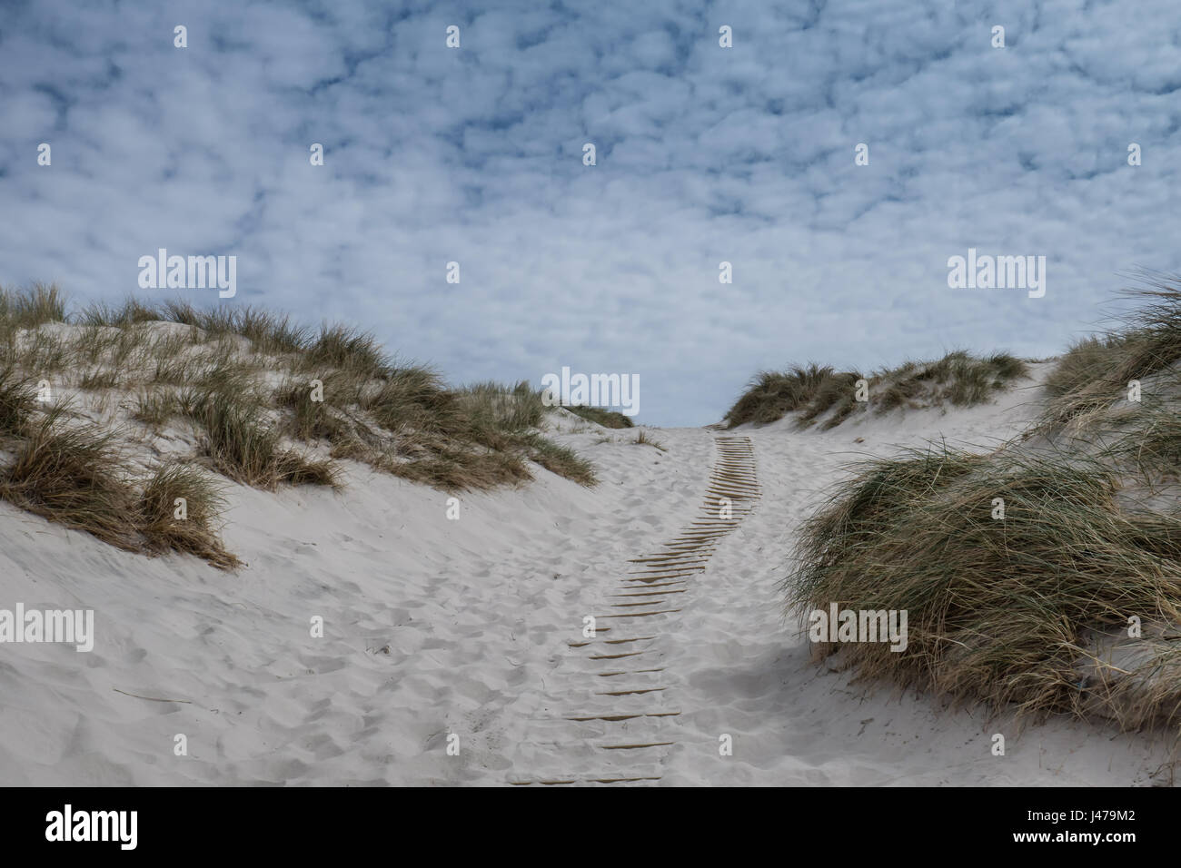 Dune con il percorso presso il Danish costa del Mare del Nord in Henne Foto Stock