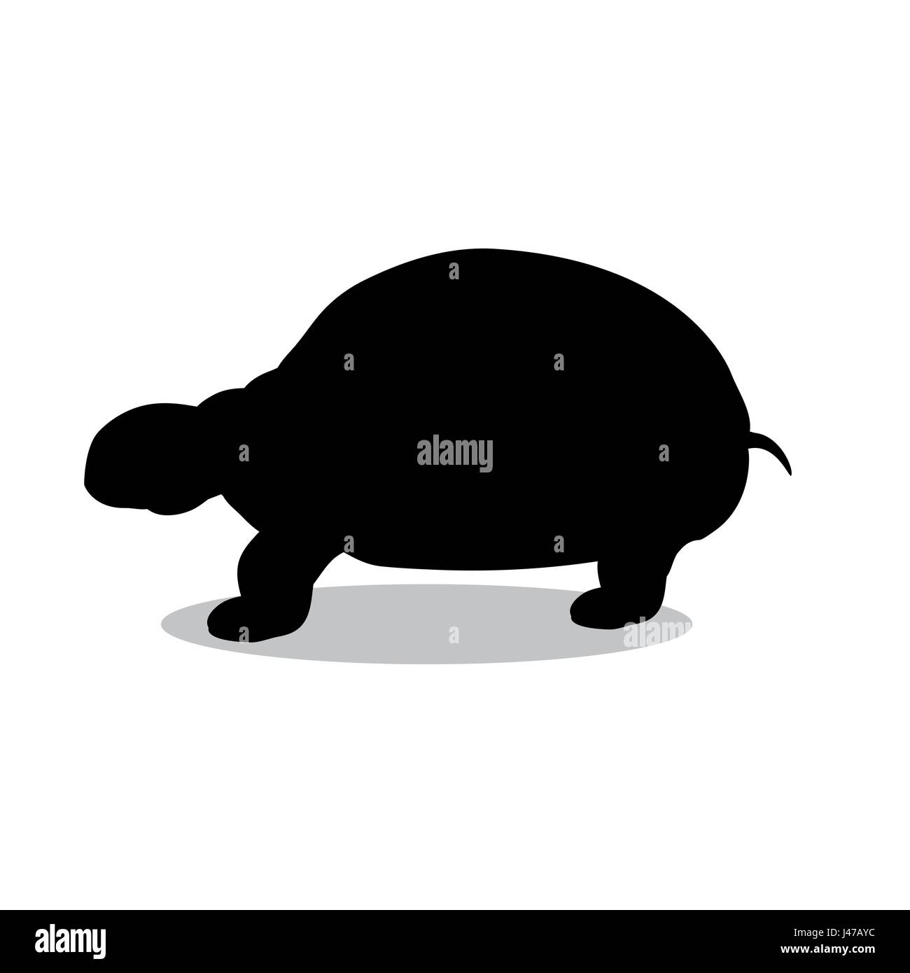 Terra turtle rettile nero animale silhouette Illustrazione Vettoriale