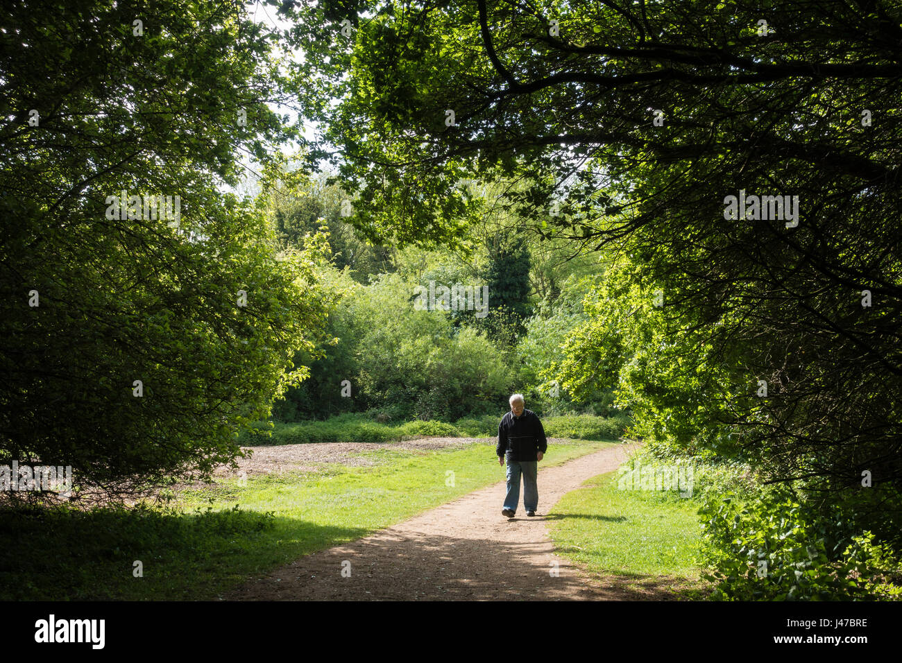 Ragazza Ridere Con Una Tazza Di Caffè  Tè  Per Una Passeggiata Nel Parco All Aperto Autunno Tempo