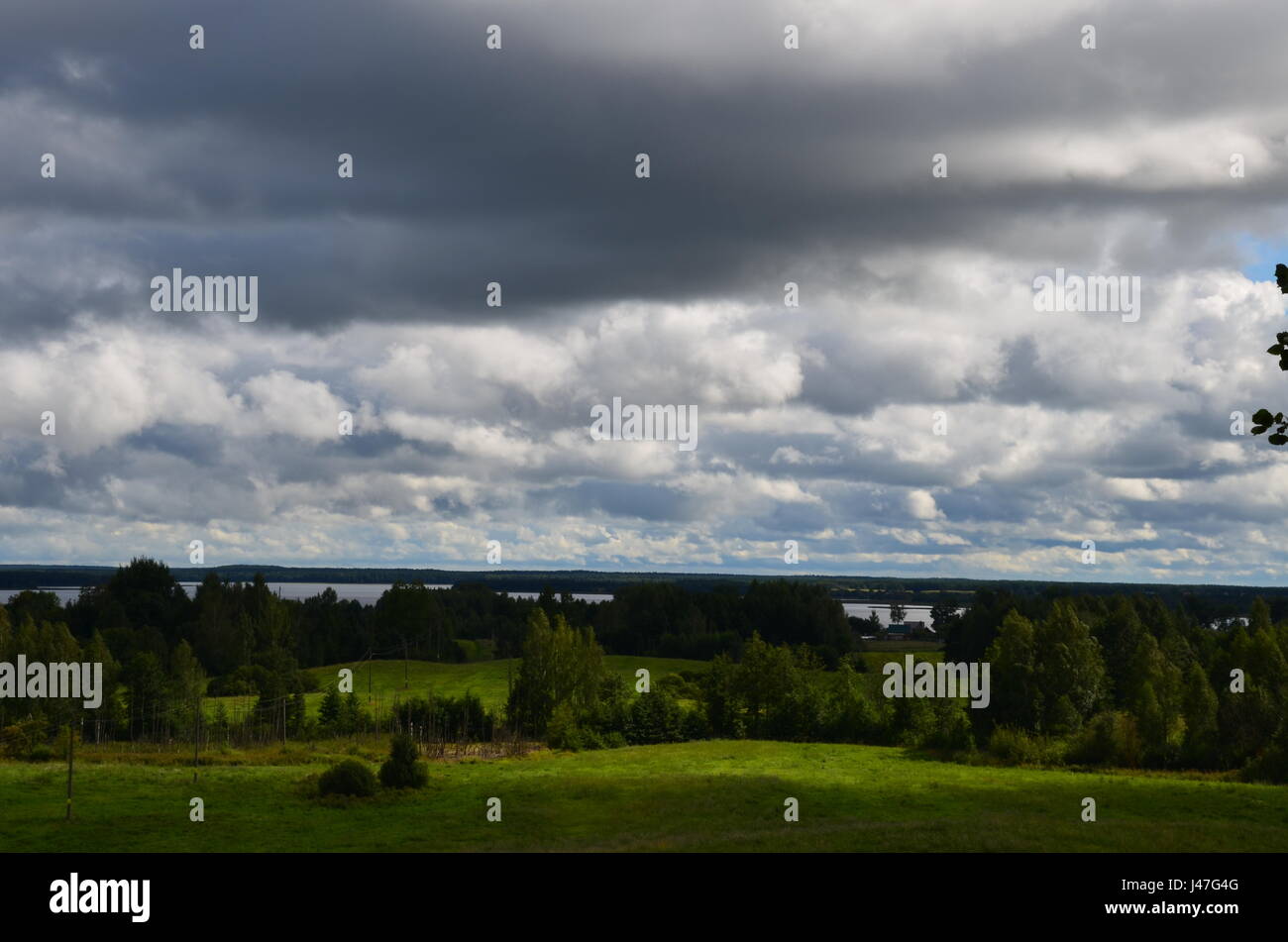 Colpo di lago Miastro nei pressi di Naroch in Bielorussia. Deep erba verde e alcuni alberi sotto la massiccia cielo nuvoloso.ц Foto Stock