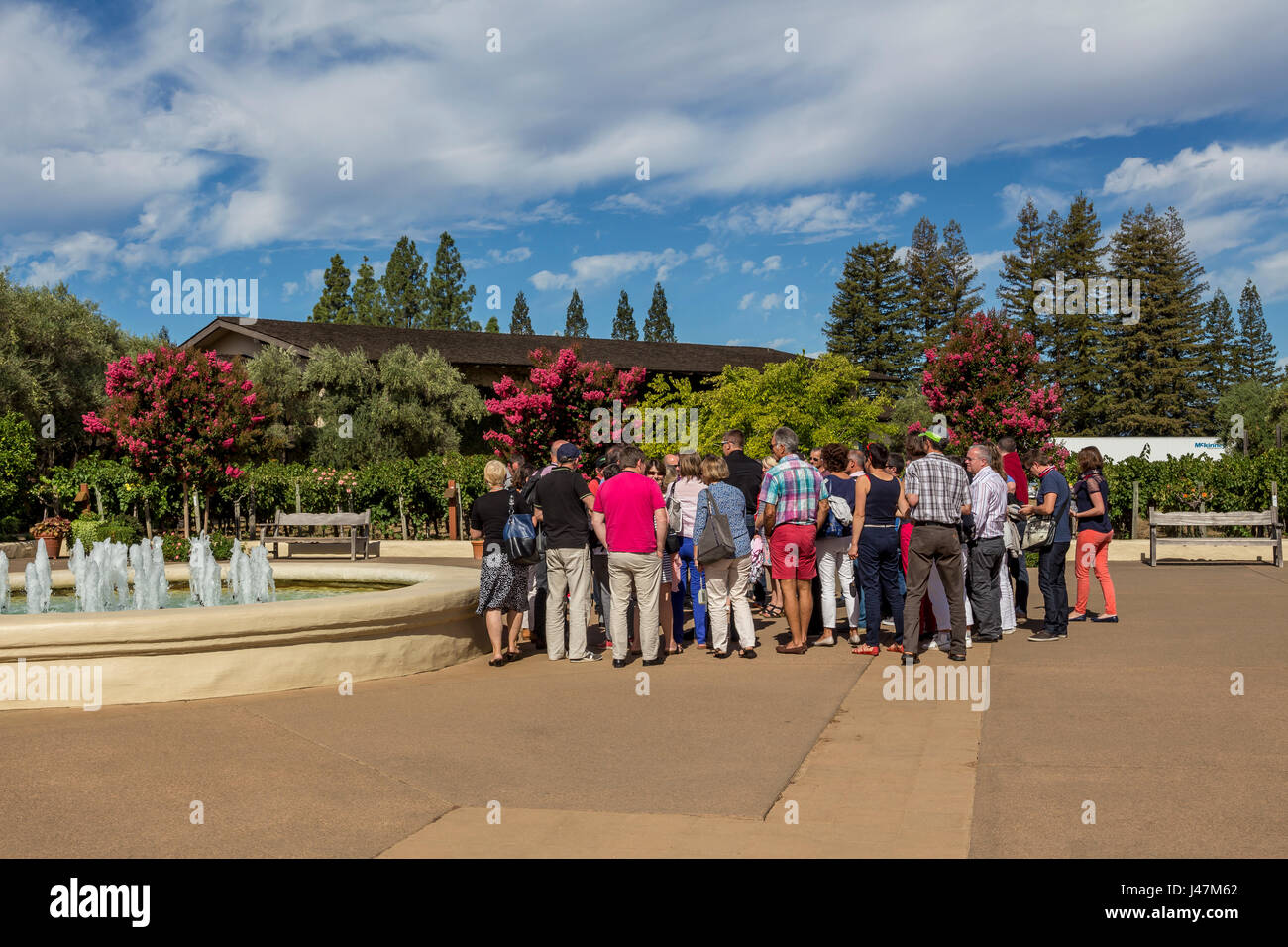 Persone, turisti, tour guidato, tour del vino, tour della cantina, Robert Mondavi Winery, Oakville, la Valle di Napa NAPA County, California Foto Stock