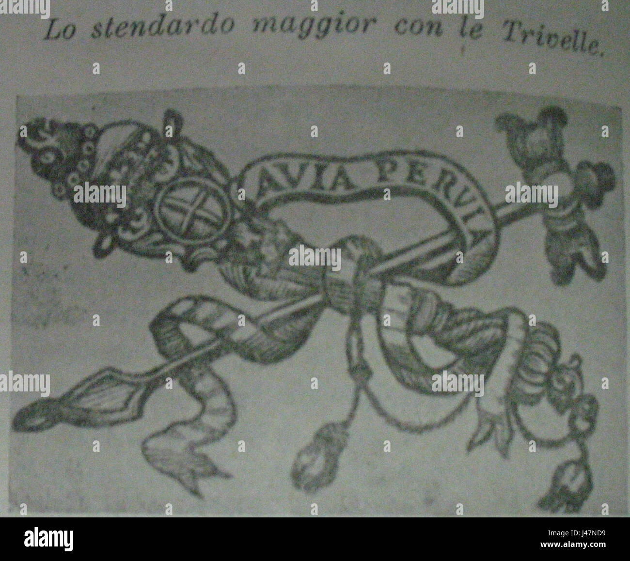 Questo titolo si riferisce a uno stendardo storico di Modena, in Italia, forse legato all'epoca medievale o rinascimentale. Include riferimenti a "Avia" e "Pervia", che possono avere un significato simbolico o araldico legato alla regione. Foto Stock