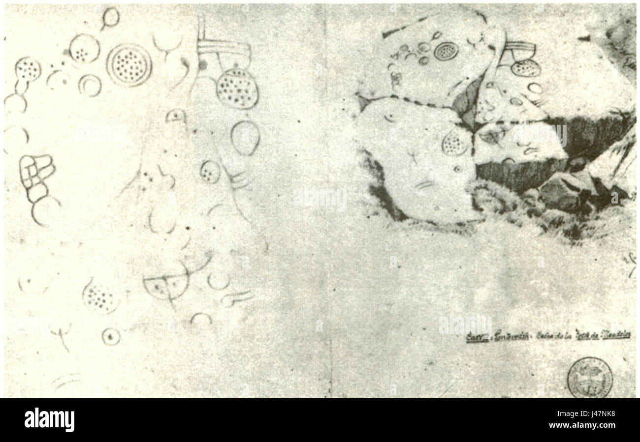 Questa immagine raffigura la Torre de Meadelos, una torre in Portogallo progettata da Henrique campo. Mette in risalto le caratteristiche architettoniche della struttura storica. Foto Stock