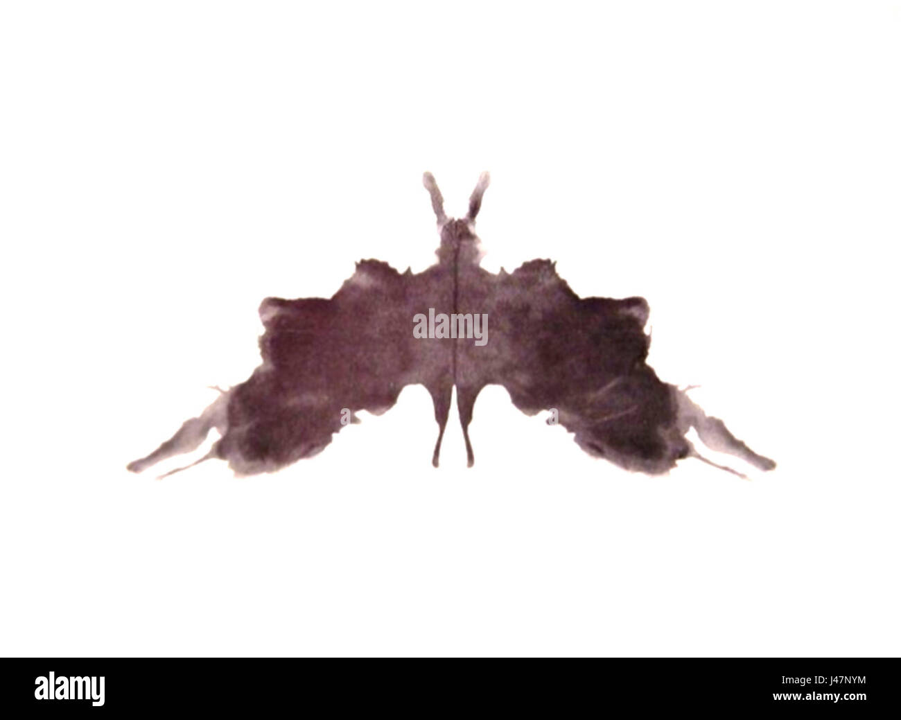 Questa immagine rappresenta un blot di Rorschach normalizzato, un test psicologico utilizzato per misurare il disturbo mentale sottostante e ottenere una comprensione più profonda dello stato mentale di una persona. Lo schema è simmetrico e aperto all'interpretazione in base alle risposte individuali. Foto Stock