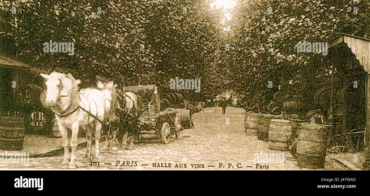 La Halles aux Vins era un mercato storico di Parigi specializzato nella vendita di vino. Situato vicino al centro di Parigi, era un importante centro per la distribuzione del vino in città, attirando sia mercanti che intenditori di vino. Il suo ruolo vivace nell'economia parigina sottolinea l'importanza della produzione e del commercio del vino nella storia di Franceâ. Foto Stock