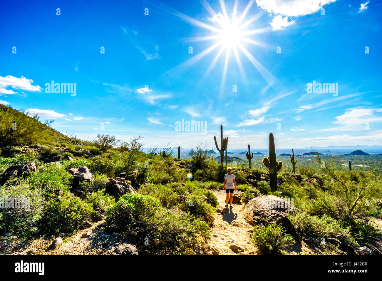 Donna su un escursione sul sentiero per la Grotta del Vento in montagna Usery sotto un sole splendente e la città di Phoenix nella Valle del Sole in background Foto Stock
