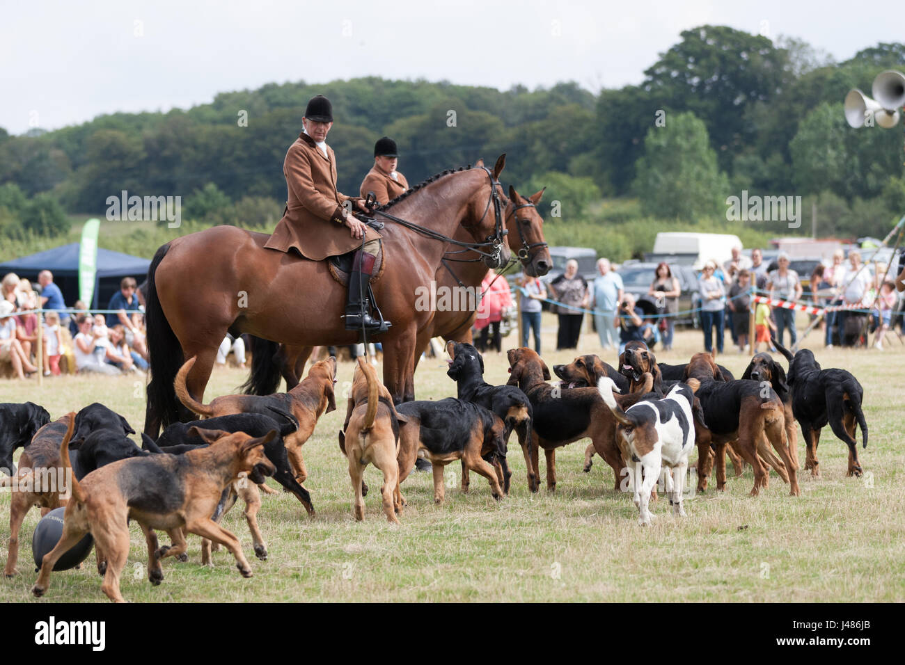 Horse and hounds presso il paese di segale visualizza. La segala East Sussex Foto Stock