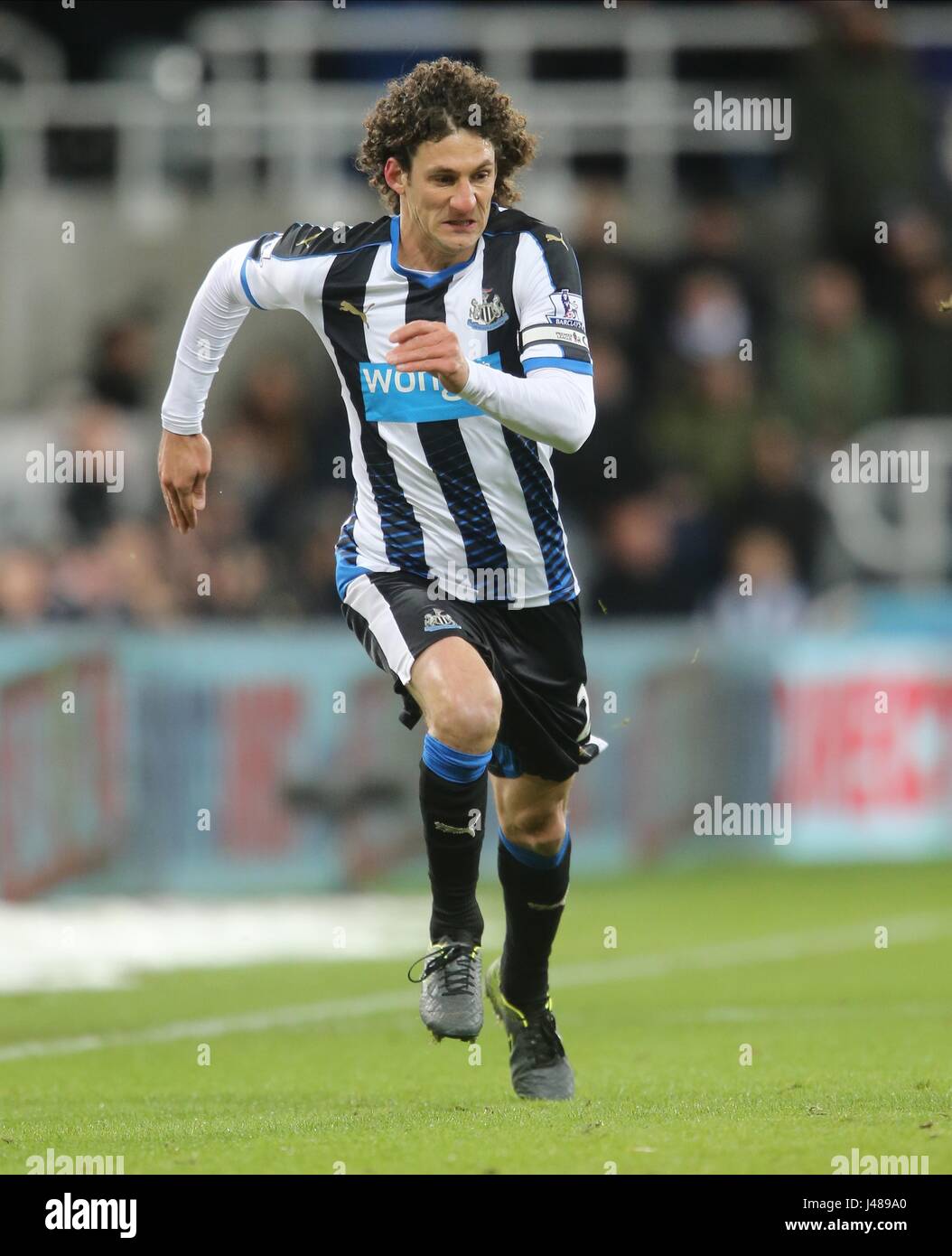 FABRICIO COLOCCINI Newcastle United FC Newcastle United FC St James Park Newcastle Inghilterra 21 Novembre 2015 Foto Stock