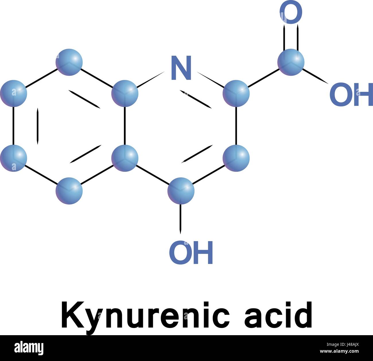 Acido chinurenico, KYNA o KYN, è un prodotto del normale metabolismo di amminoacidi L-triptofano con neuroattive attività, esso agisce come un antiexcitotoxic e Illustrazione Vettoriale