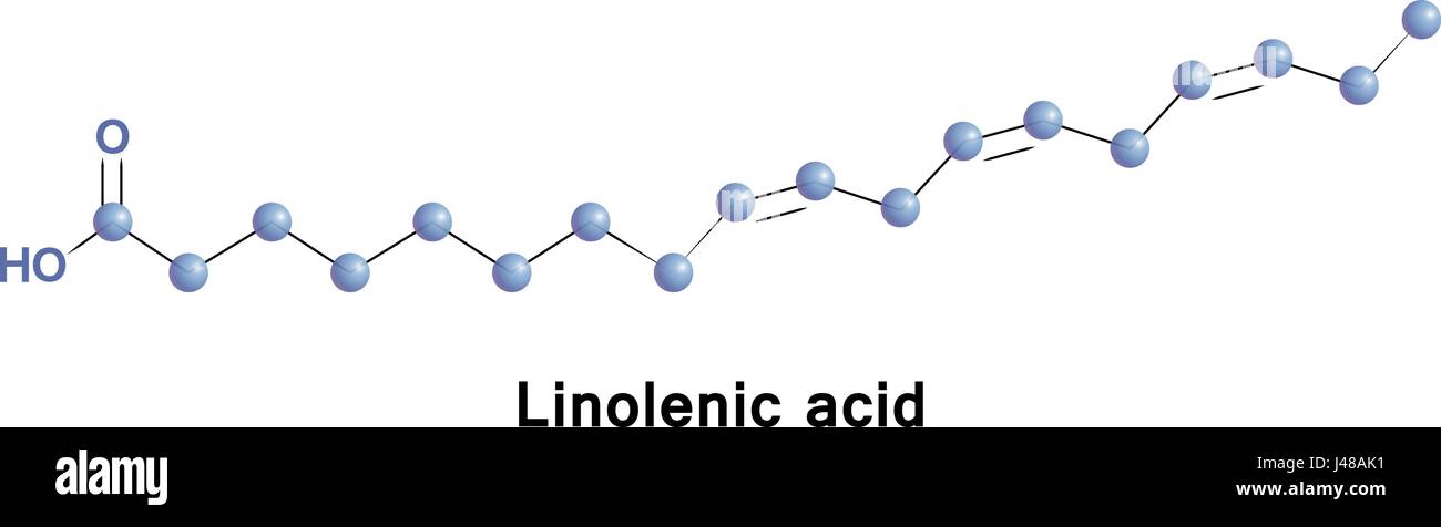 Un linolenico è un n 3 acido grasso. Si tratta di uno dei due acidi grassi essenziali. Esso deve essere acquisita attraverso la dieta. ALA è un acido grasso omega-3 trovato nelle sementi Illustrazione Vettoriale