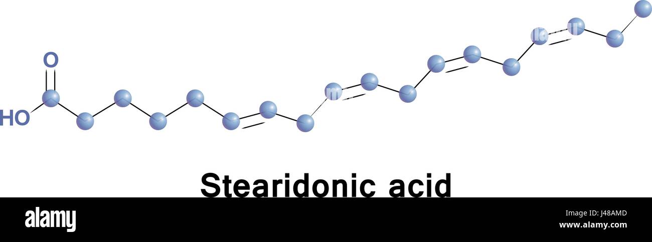 Stearidonico è un omega 3 acido grasso, talvolta chiamato moroctic acido, essa viene biosintetizzato da ALA. Fonti di ciò che sono gli oli di semi di canapa, blackcu Illustrazione Vettoriale